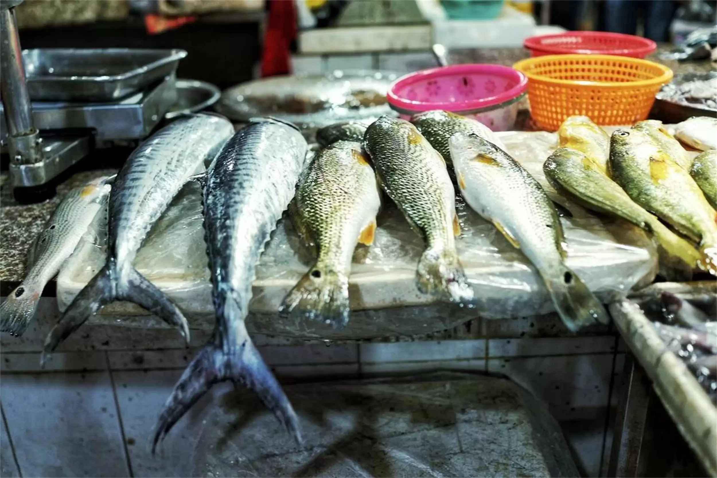 广东“最隐藏”海鲜城，低调美食待发现插图9