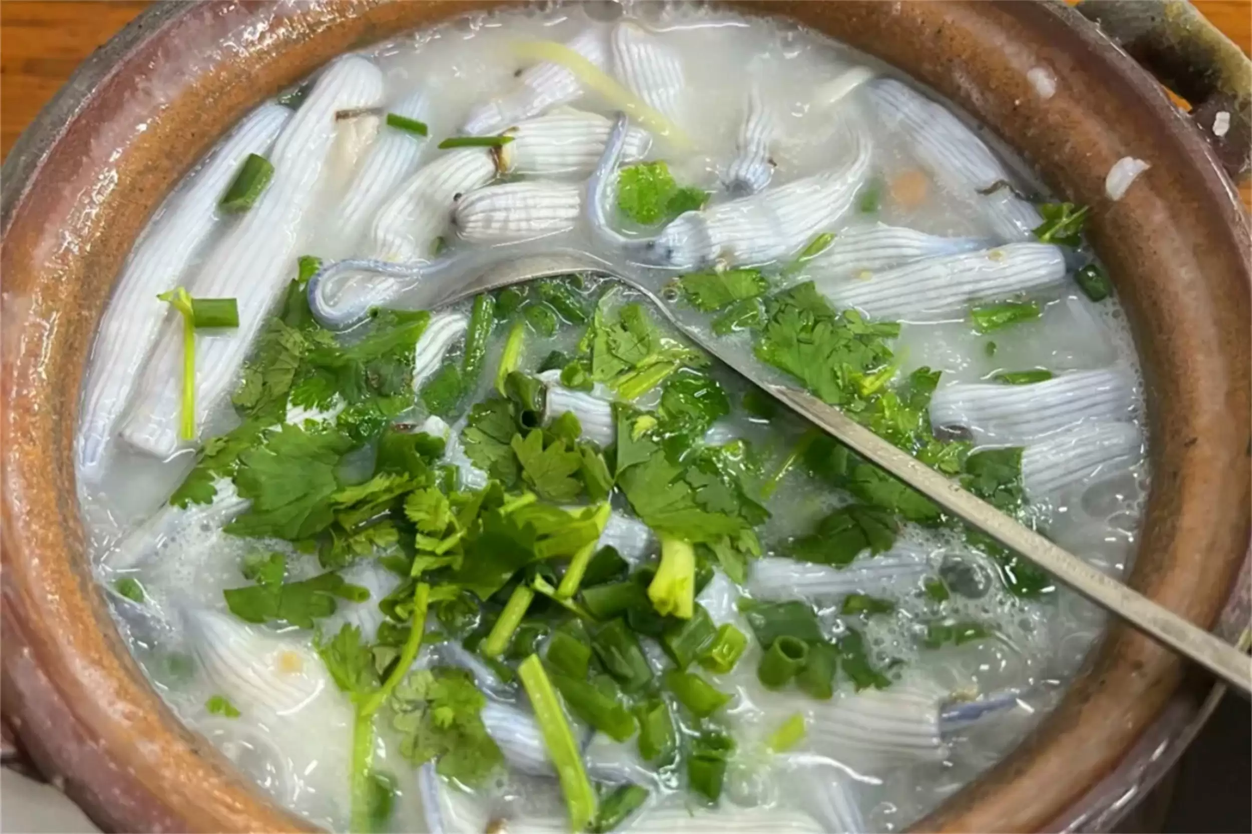 广东“最隐藏”海鲜城，低调美食待发现插图11