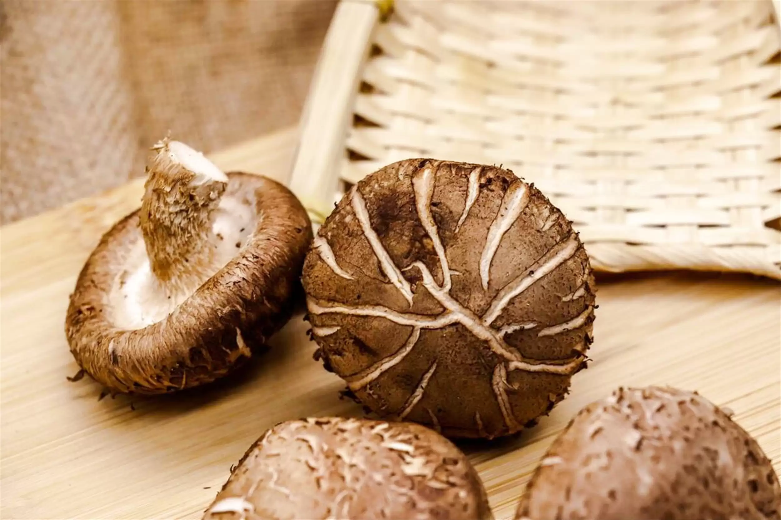 不生病的秘诀：五种食物提升免疫力插图13