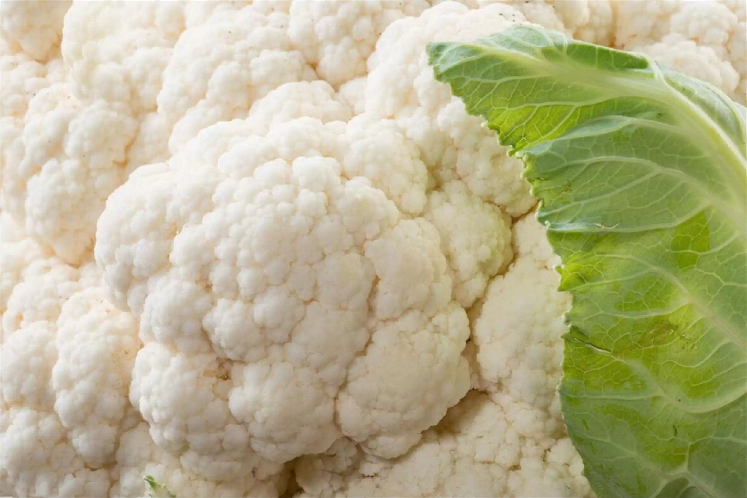 寒露饮食指南：“3白2红”增强体质插图7