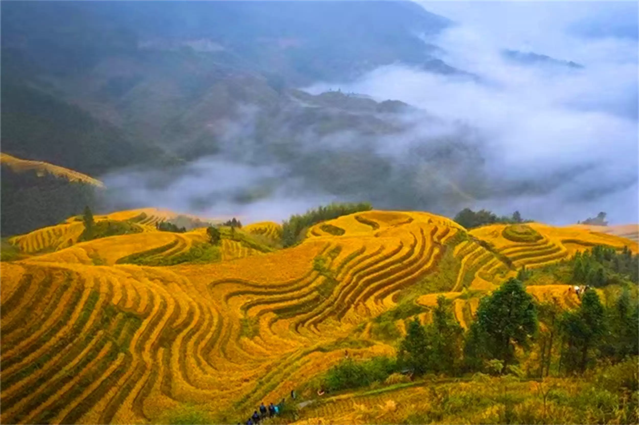 秋天最美城市：五地秋季盛景等你来插图23