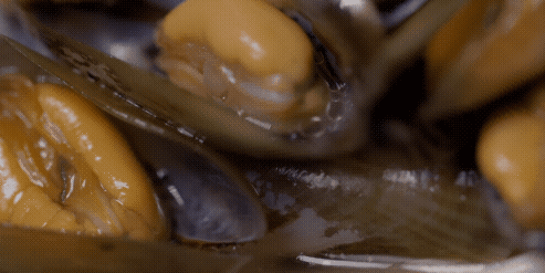 海边海鲜绝配：五种搭配尽显巧思插图21