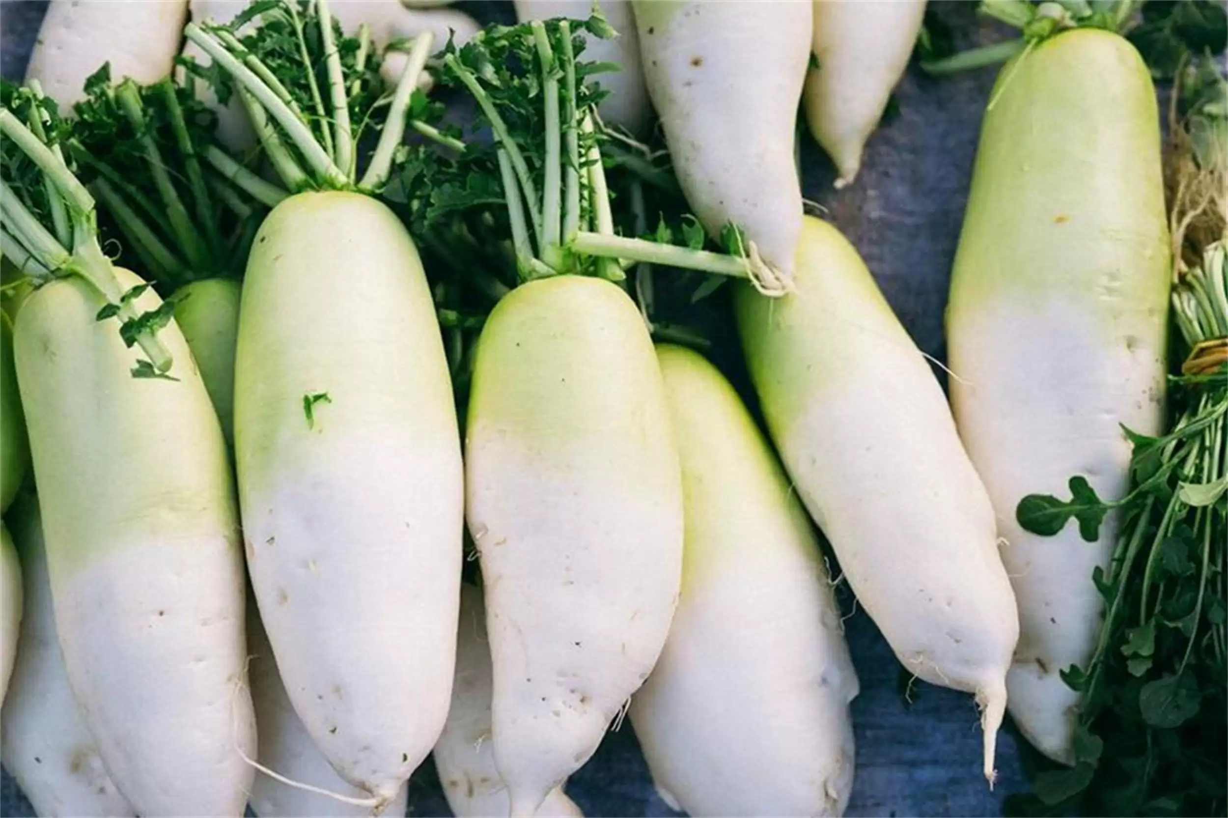 秋燥润肺食材：五种食材调理身体插图7