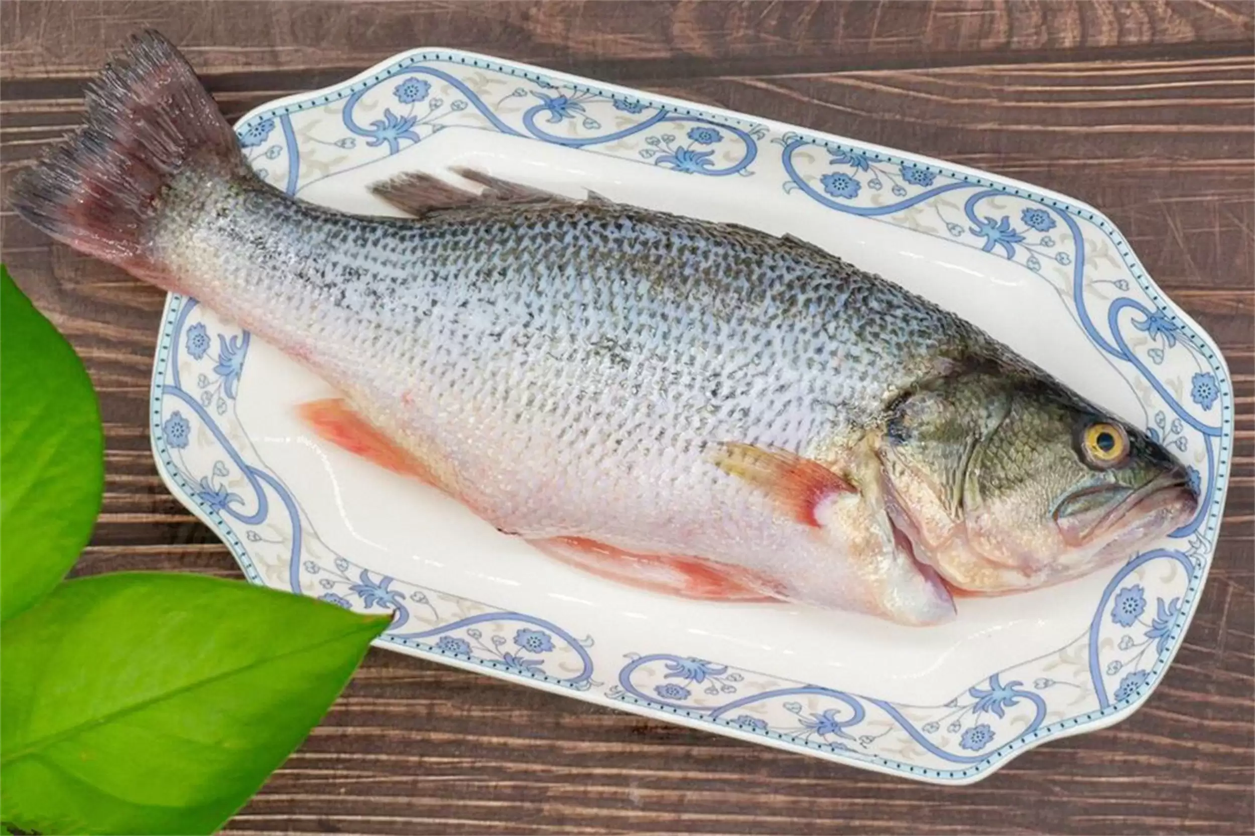 出伏中老年饮食：多吃3肉弥补消耗插图1