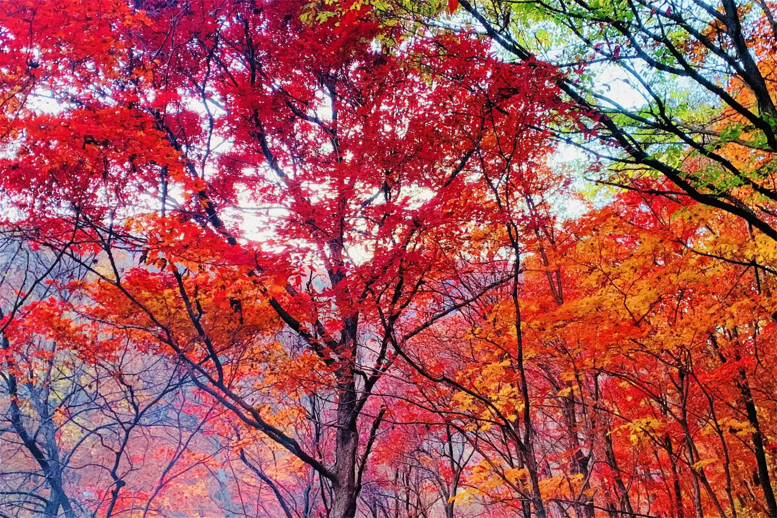 中国六大“穷游”胜地，性价比超高之旅插图3