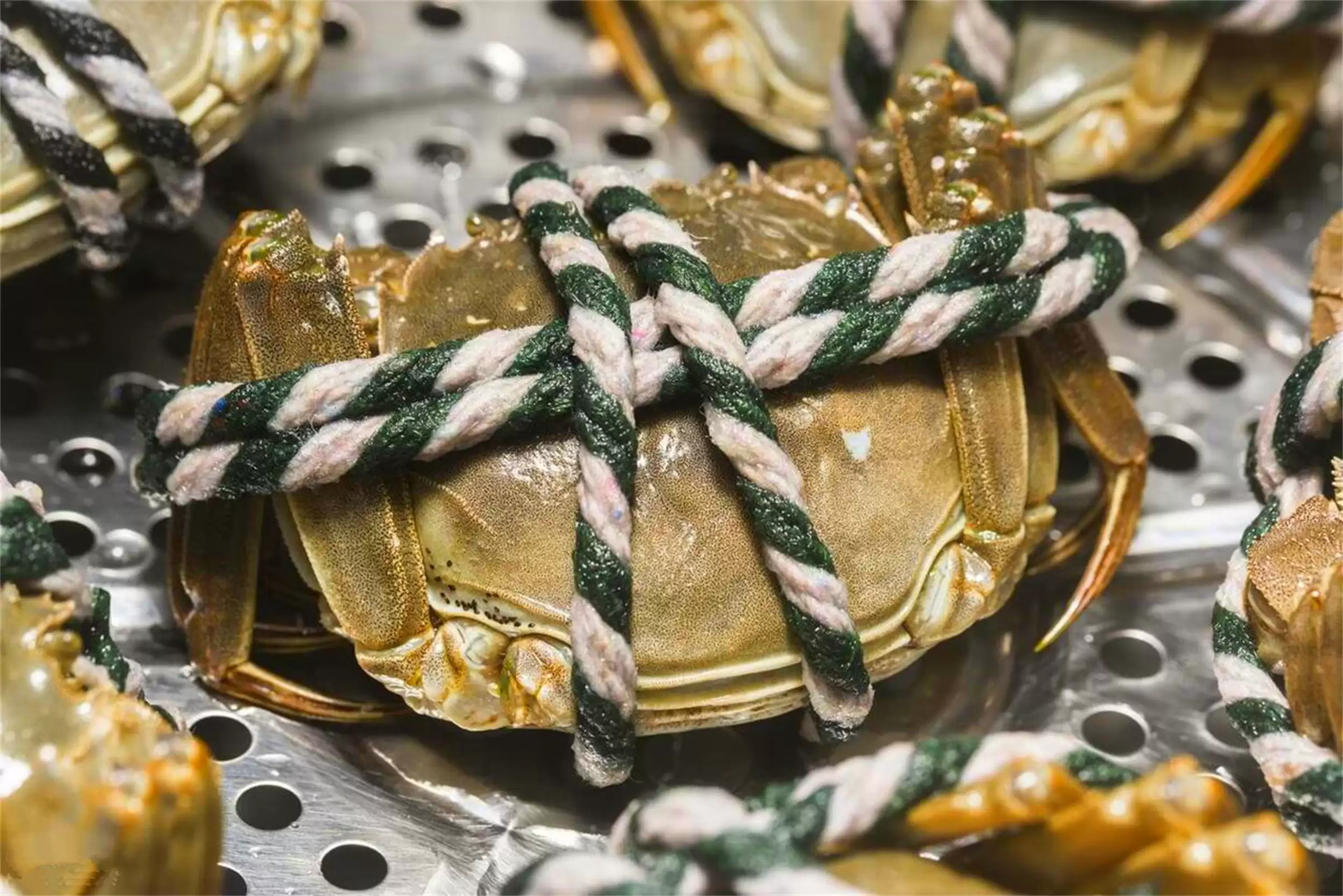 除阳澄城外的螃蟹推荐：六种名蟹待品尝插图5