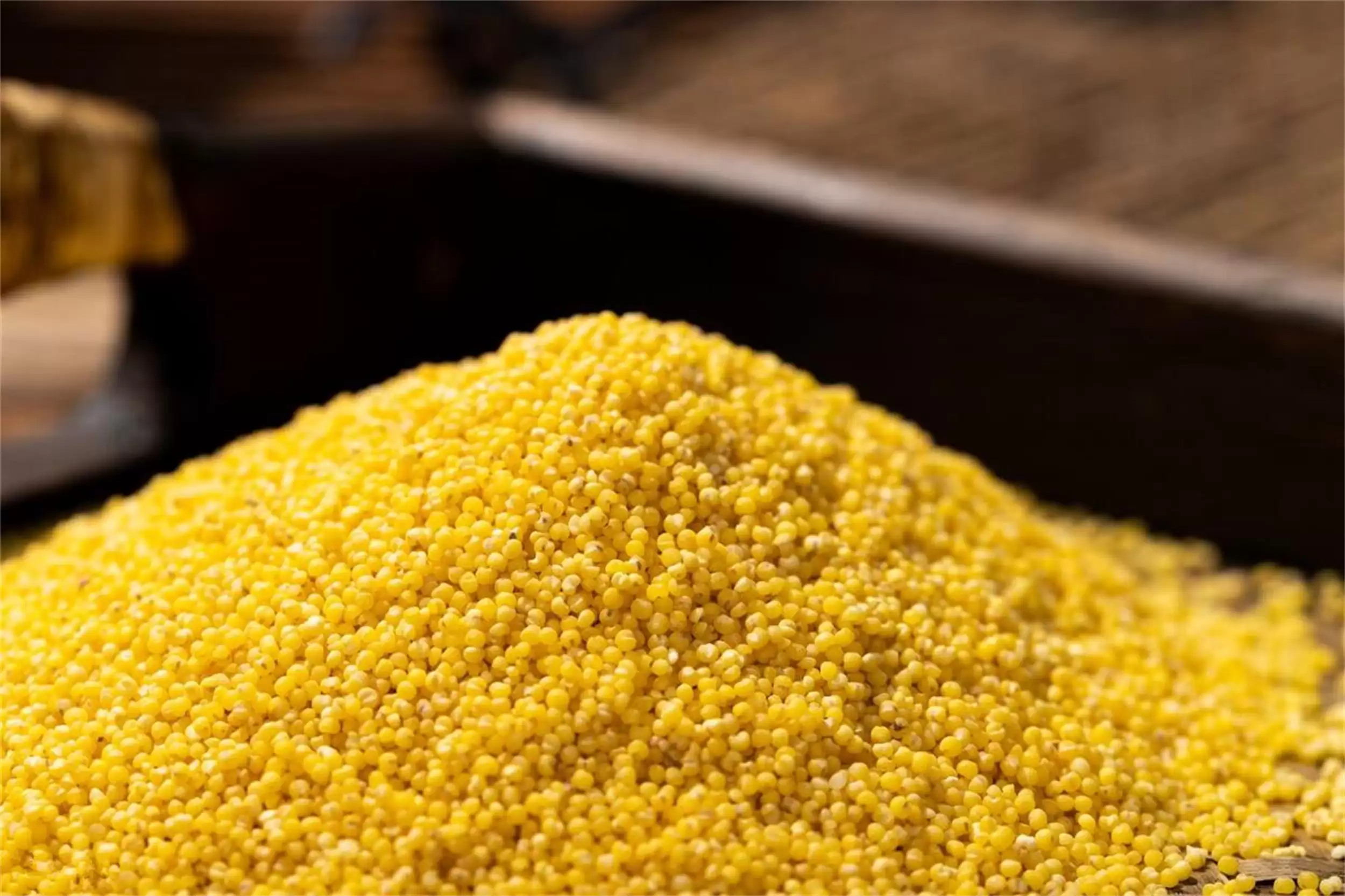 不生病的秘诀：五种食物提升免疫力插图4