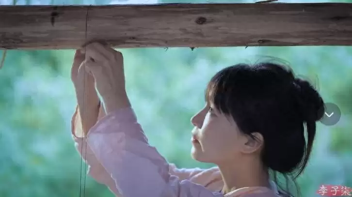 李子柒回归，全手工打造田园生活新篇-会东网