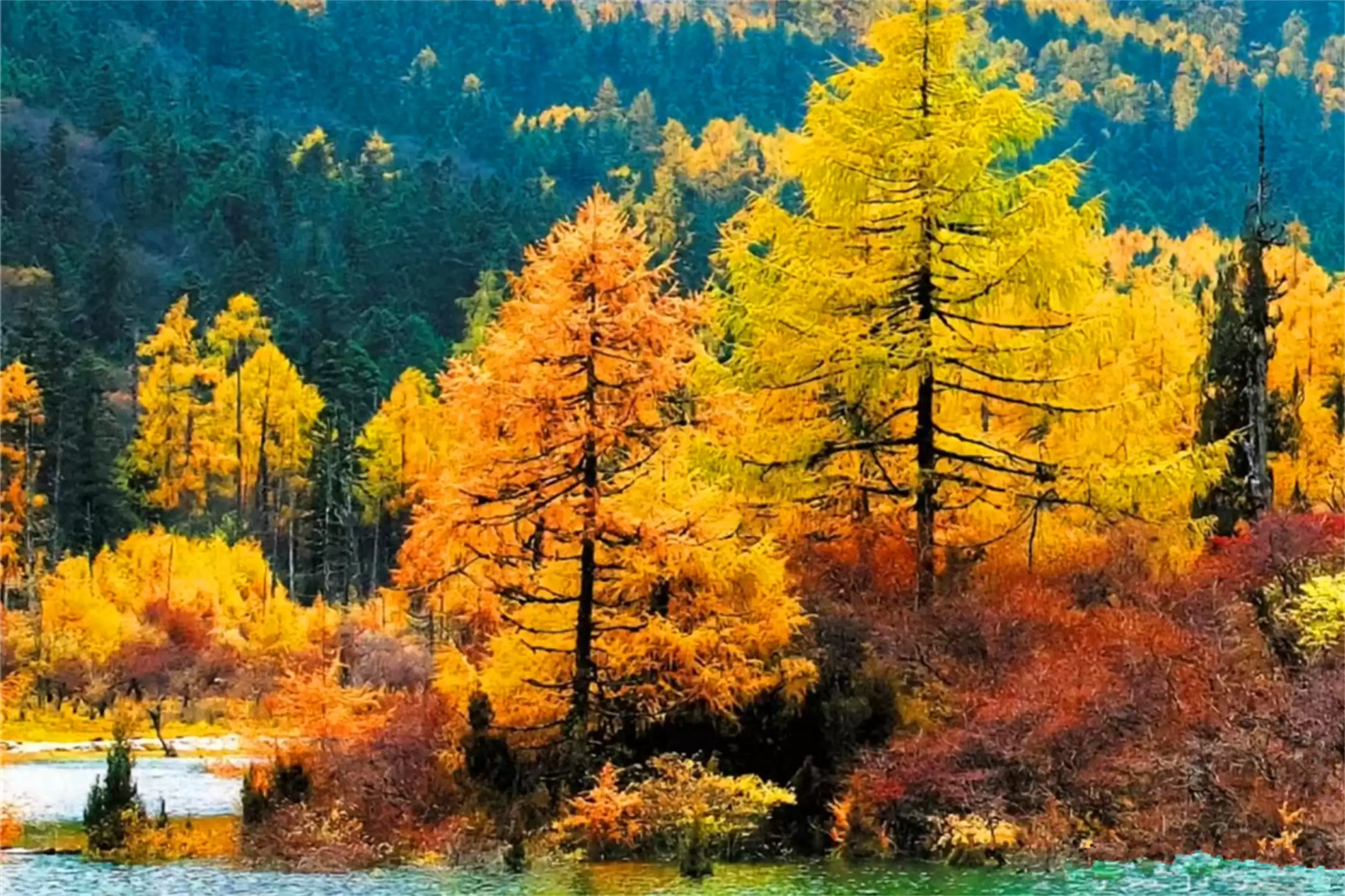 秋天最美城市：五地秋季盛景等你来插图13