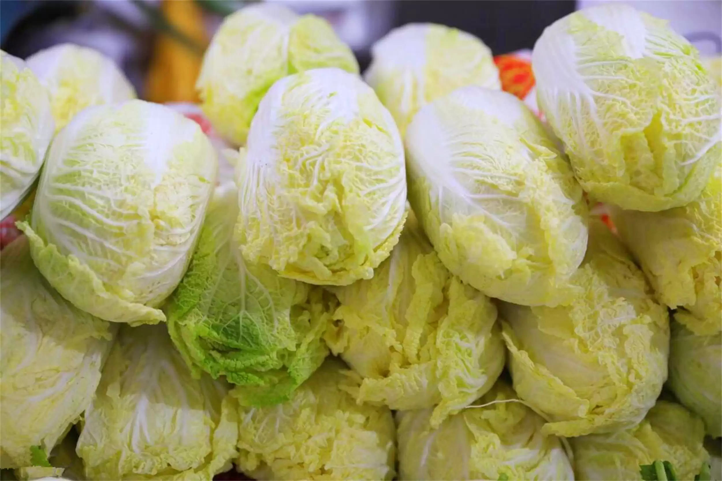 深秋养生菜：四种菜滋养肠胃正当时插图3