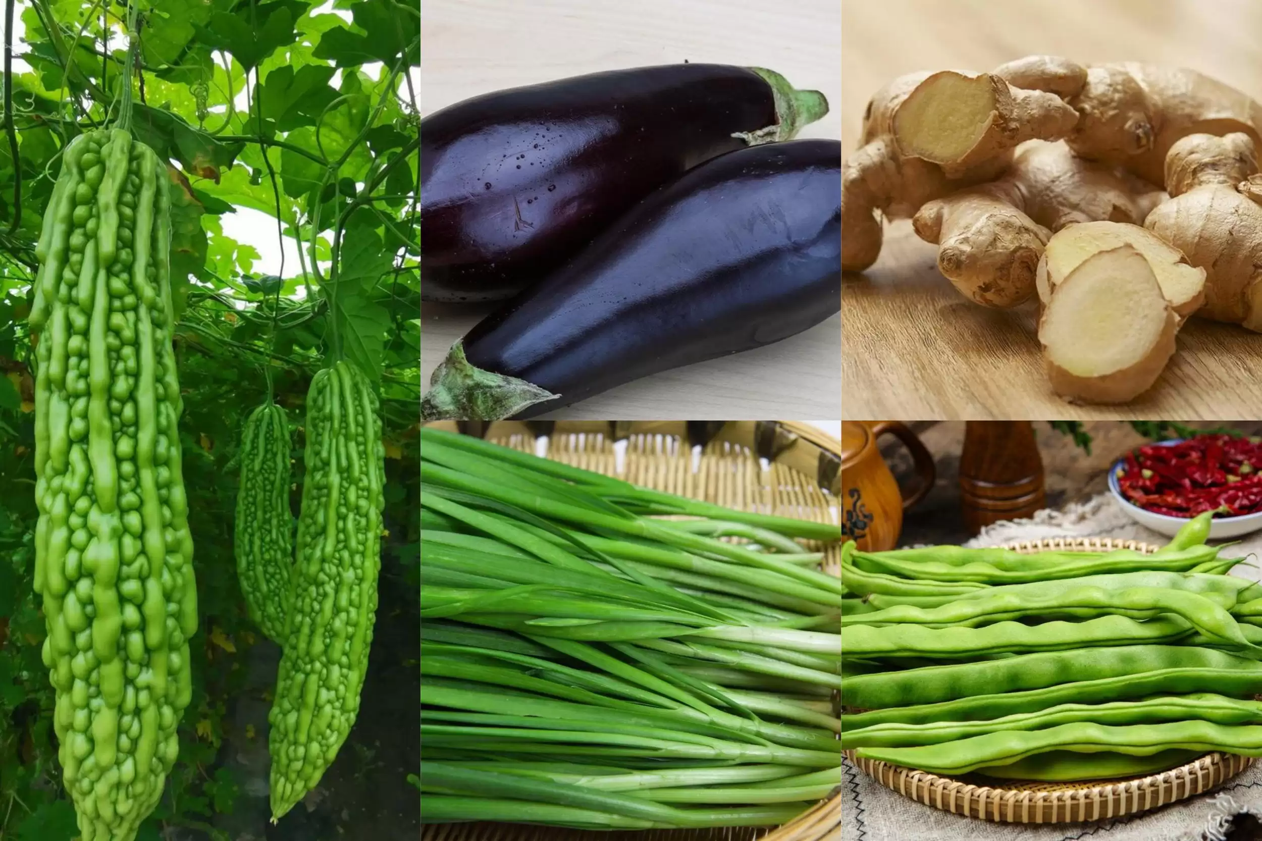 天凉饮食调整：5种夏季菜少吃，5种秋季菜多吃插图1