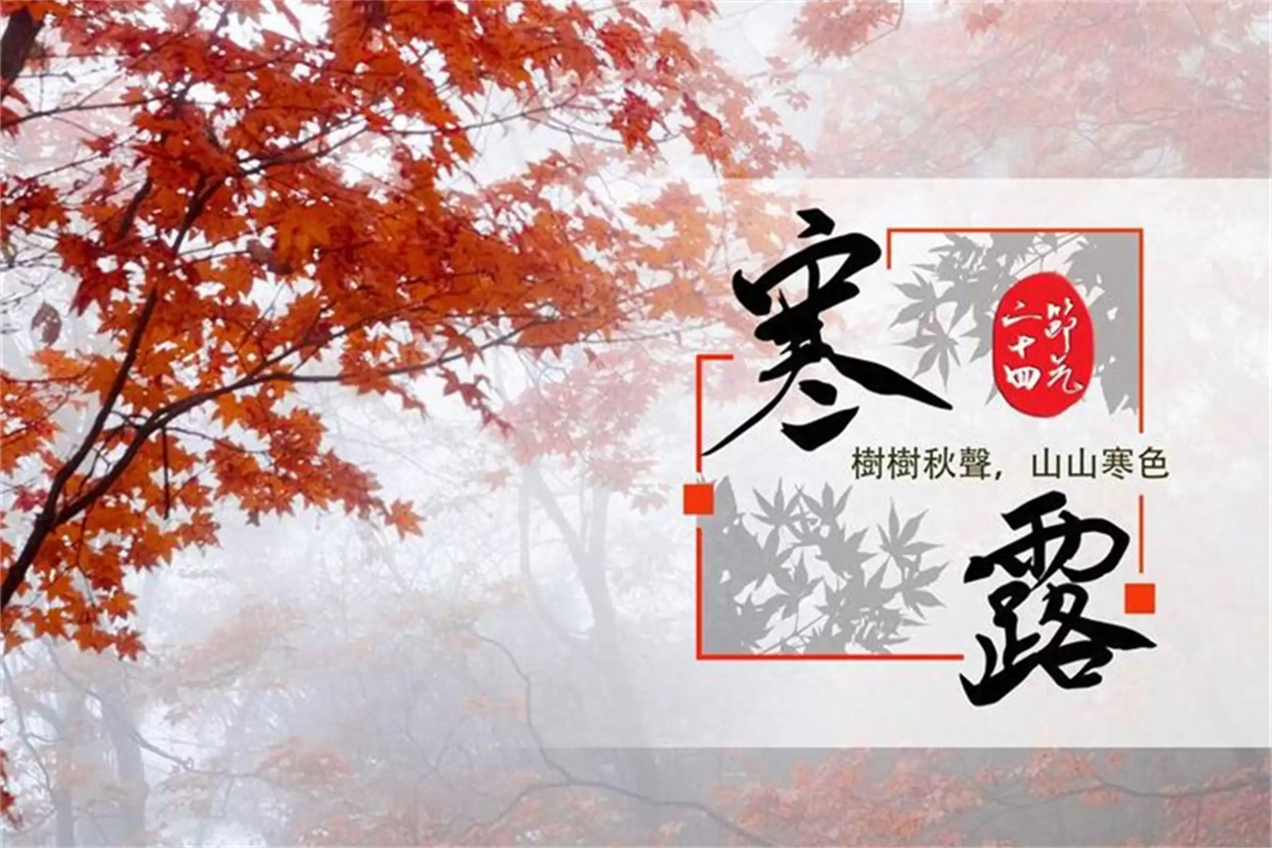 寒露饮食攻略:喝茶吃肉吃菜元气足-会东网