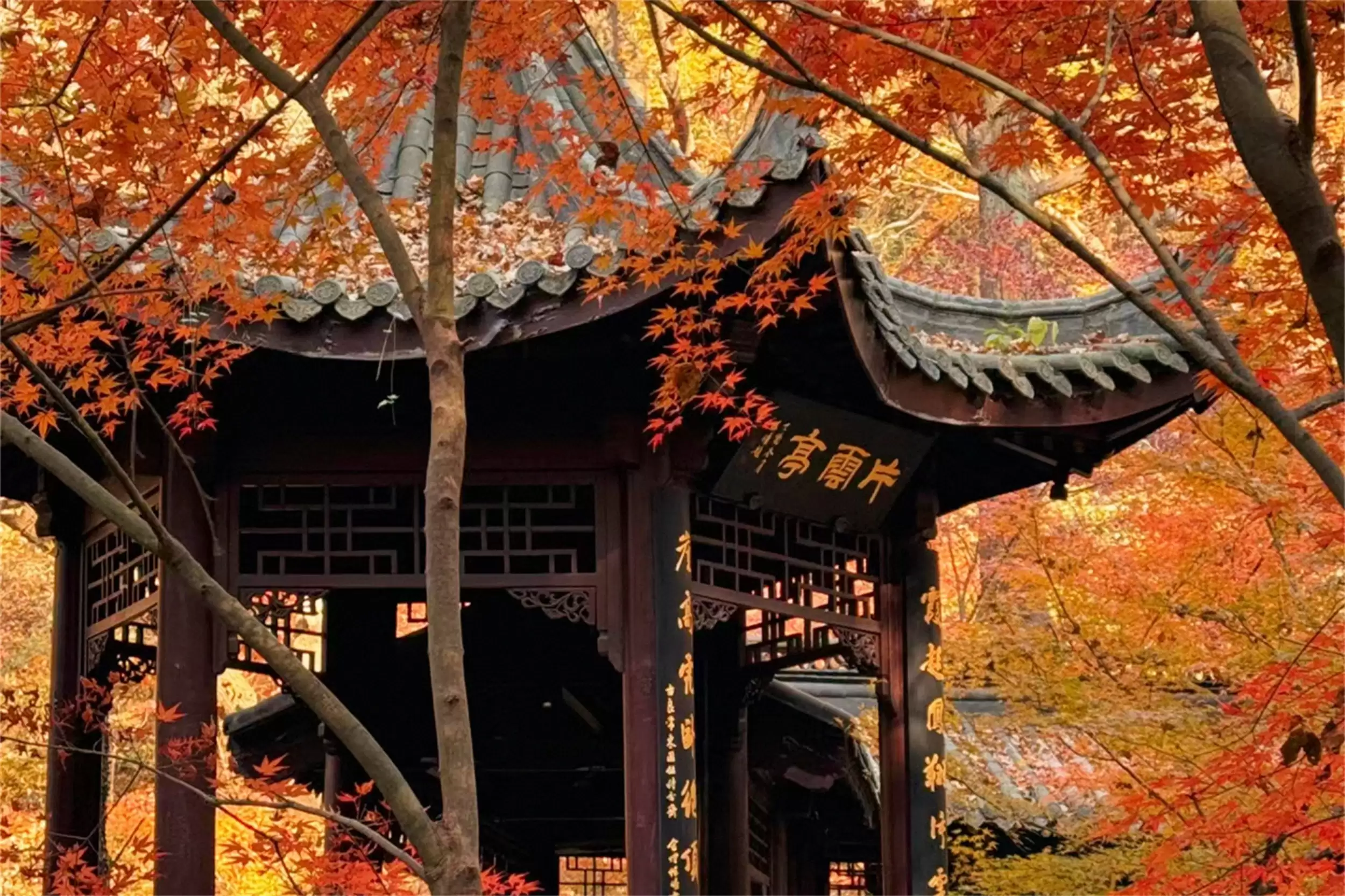 秋天最美城市：五地秋季盛景等你来插图20