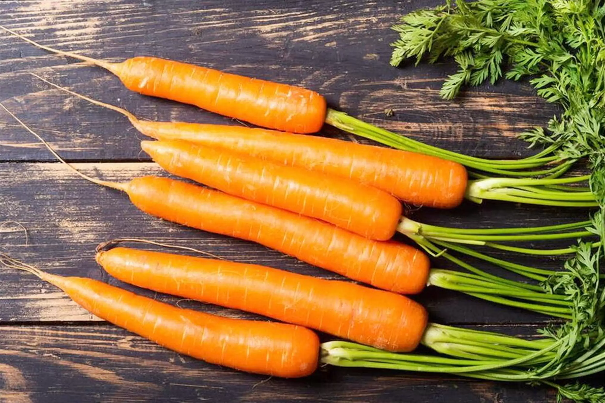 立秋后忌嘴要点：“3白2红”应季而食插图14