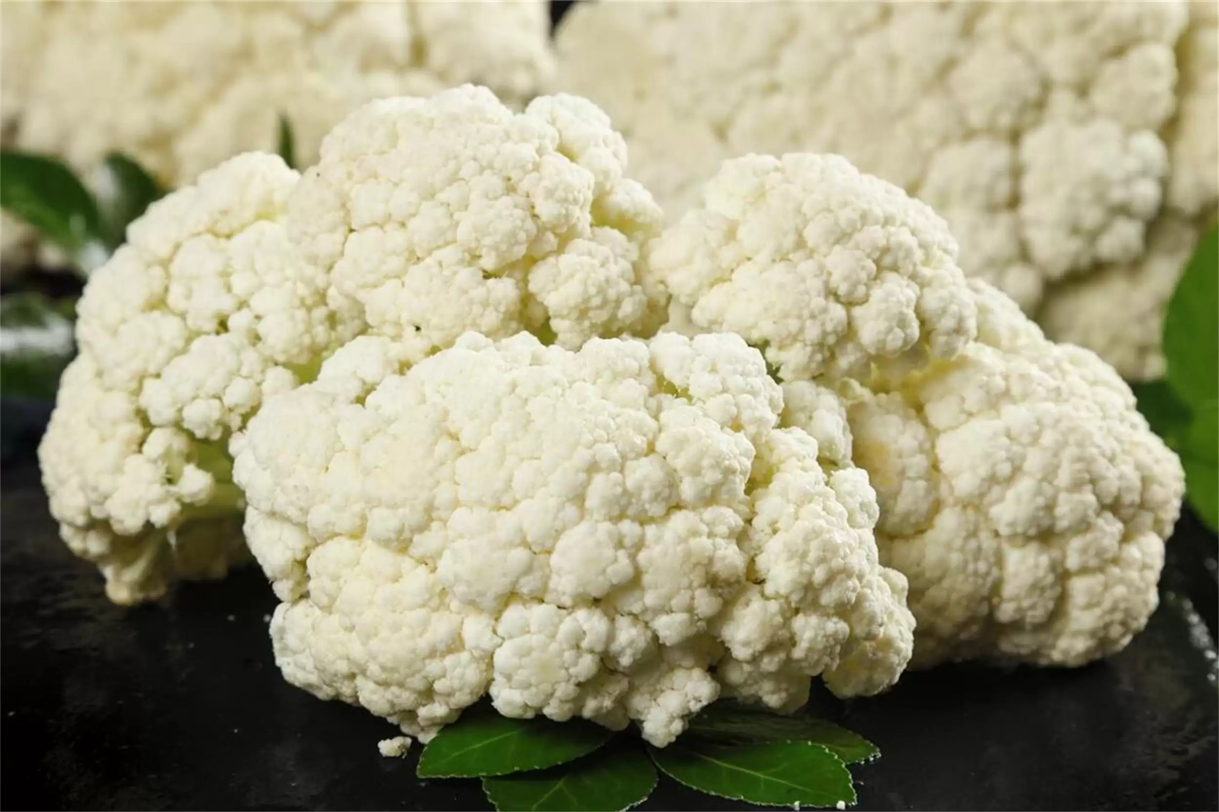 寒露“5珍”养生，为入冬筑牢根基插图7