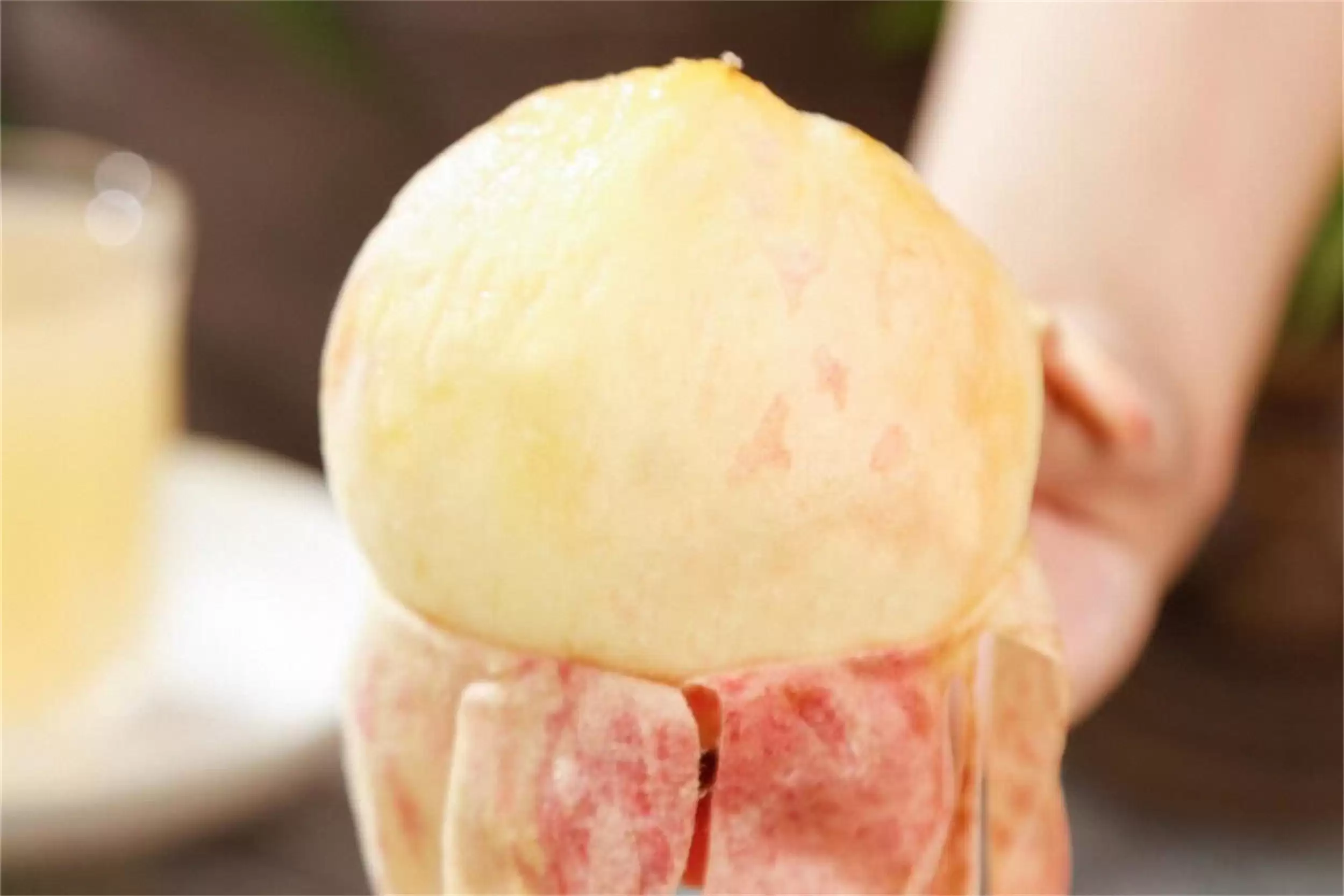 中国八地桃子大赏，香甜爽脆等你来尝插图13