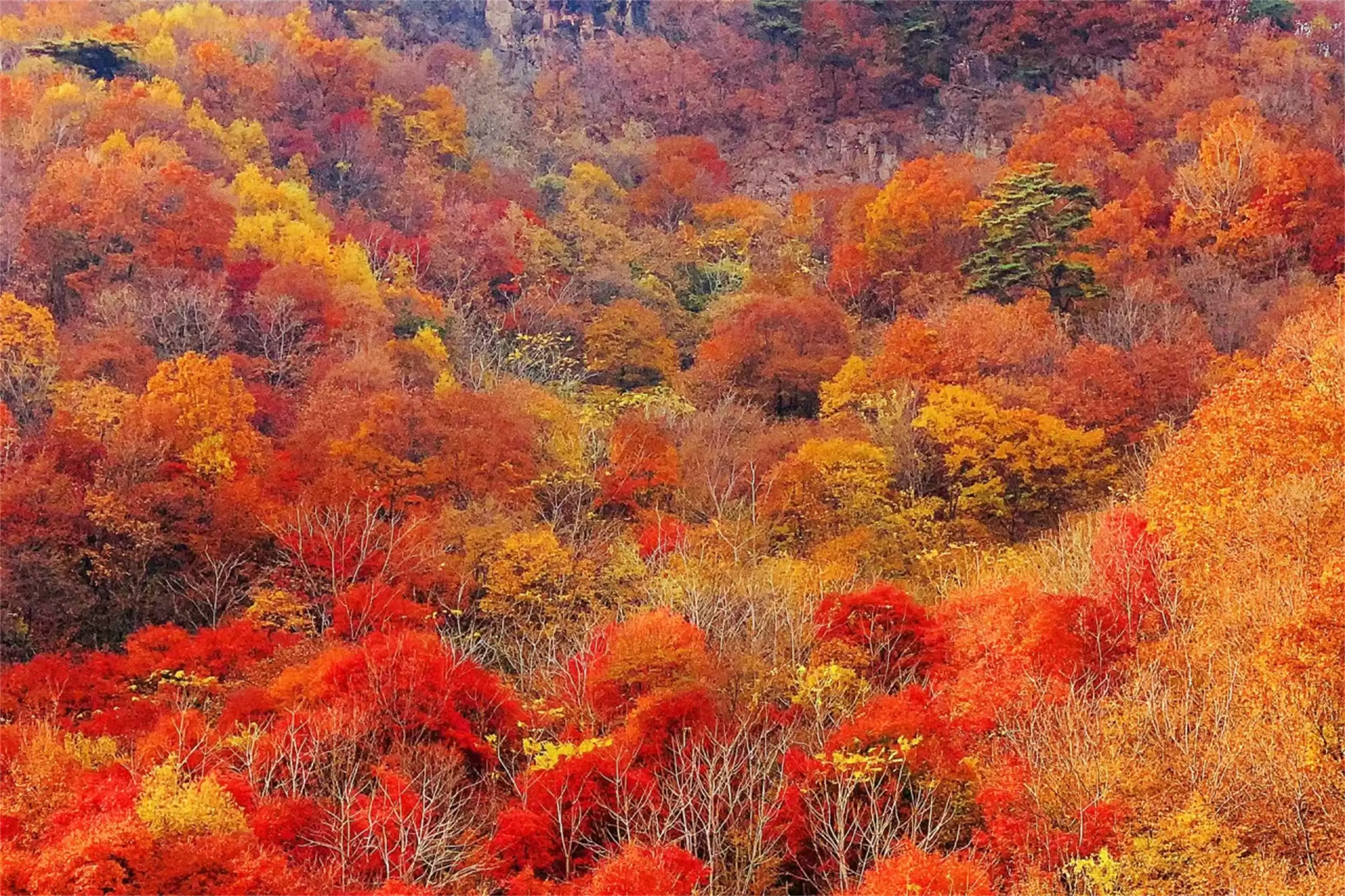 中国六大“穷游”胜地，性价比超高之旅插图4