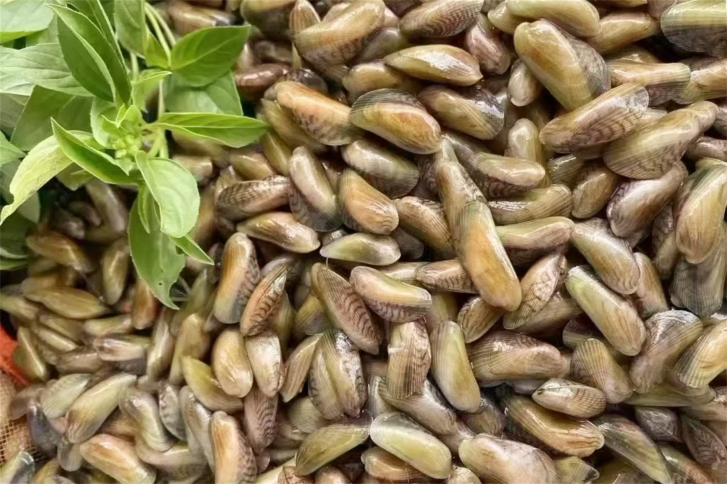 海边海鲜绝配：五种搭配尽显巧思插图20