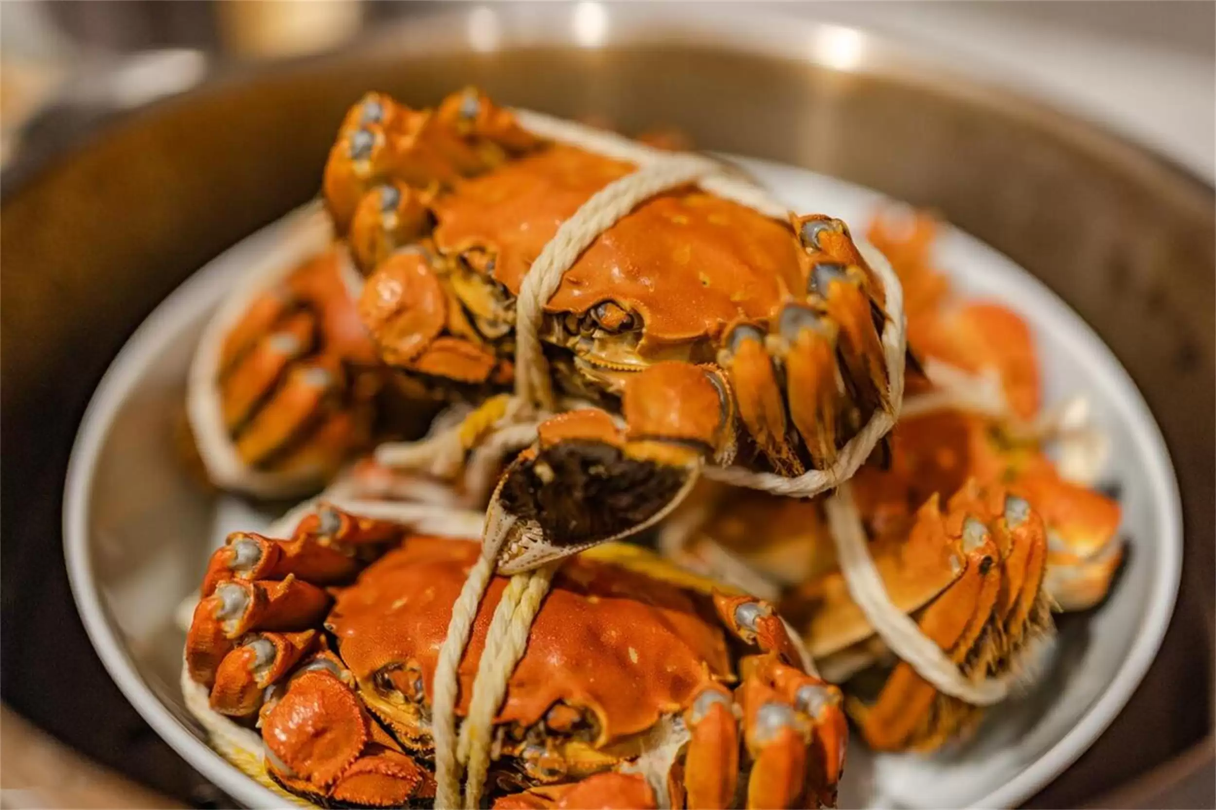 除阳澄城外的螃蟹推荐：六种名蟹待品尝插图9