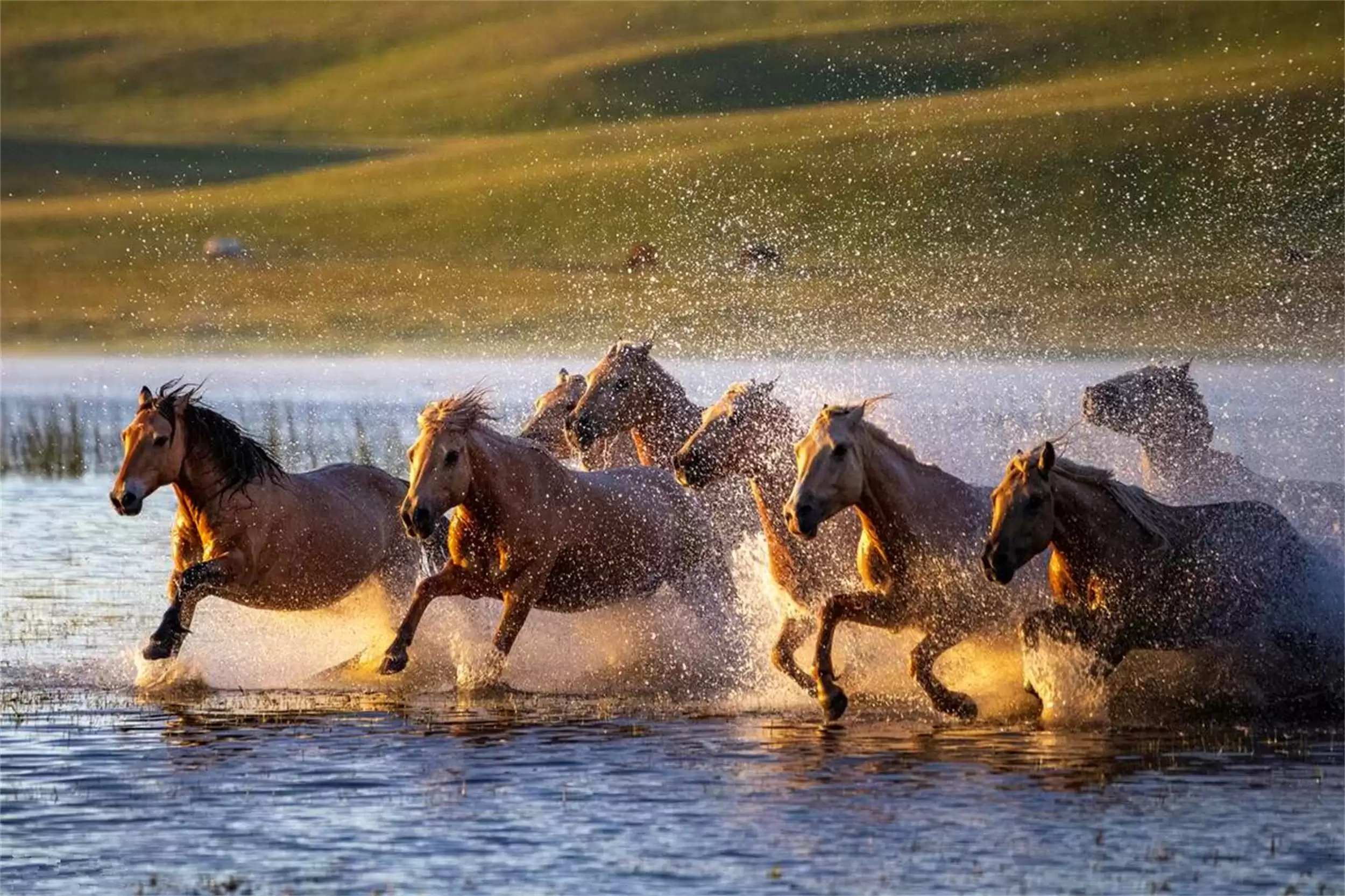 我国五个“异类城市”，特色归属引热议插图22