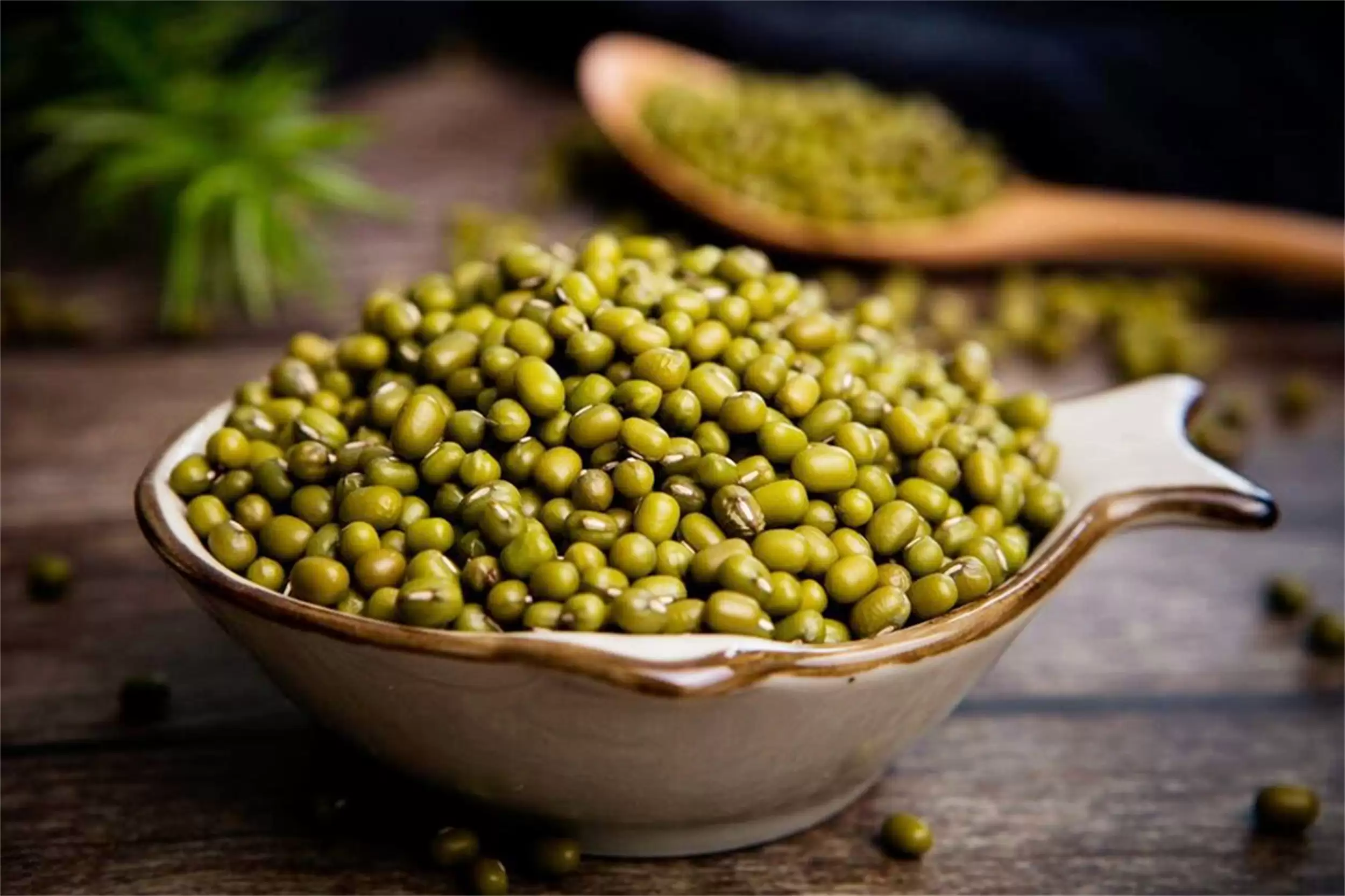 立秋传统饮食：啃瓜吃豆迎接秋天插图10