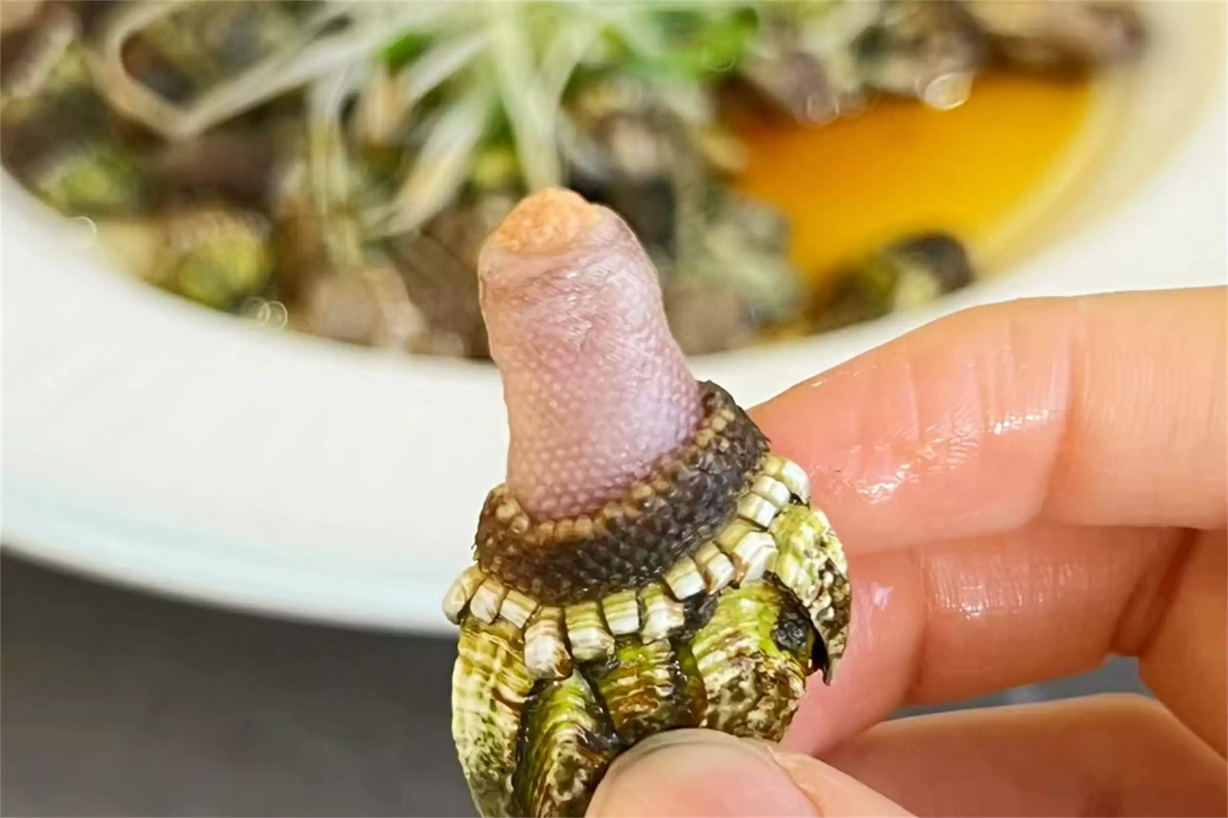 海边海鲜绝配：五种搭配尽显巧思插图27