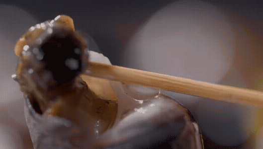 海边海鲜绝配：五种搭配尽显巧思插图11