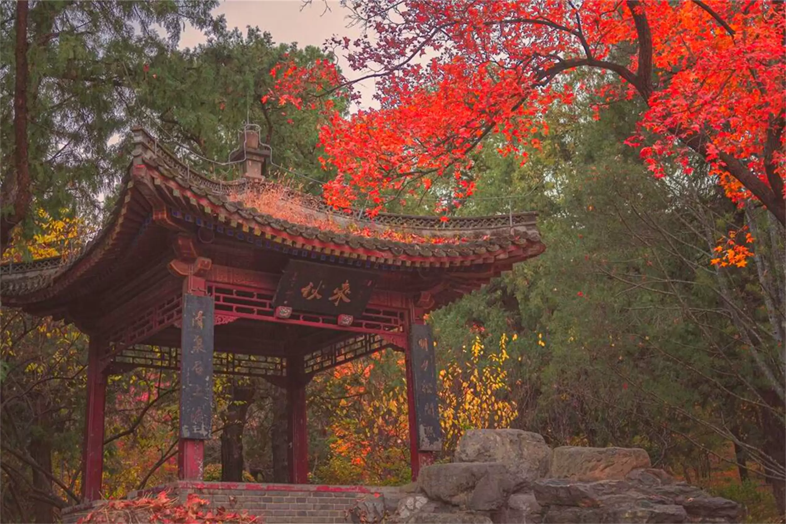 国内赏红叶五大胜地，拍照打卡好去处插图9