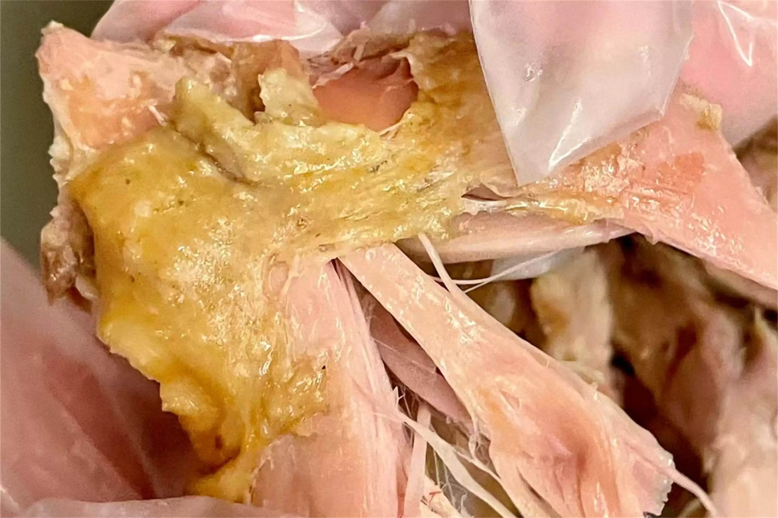 中国八大烧鸡推荐，中秋送礼佳品之选插图12