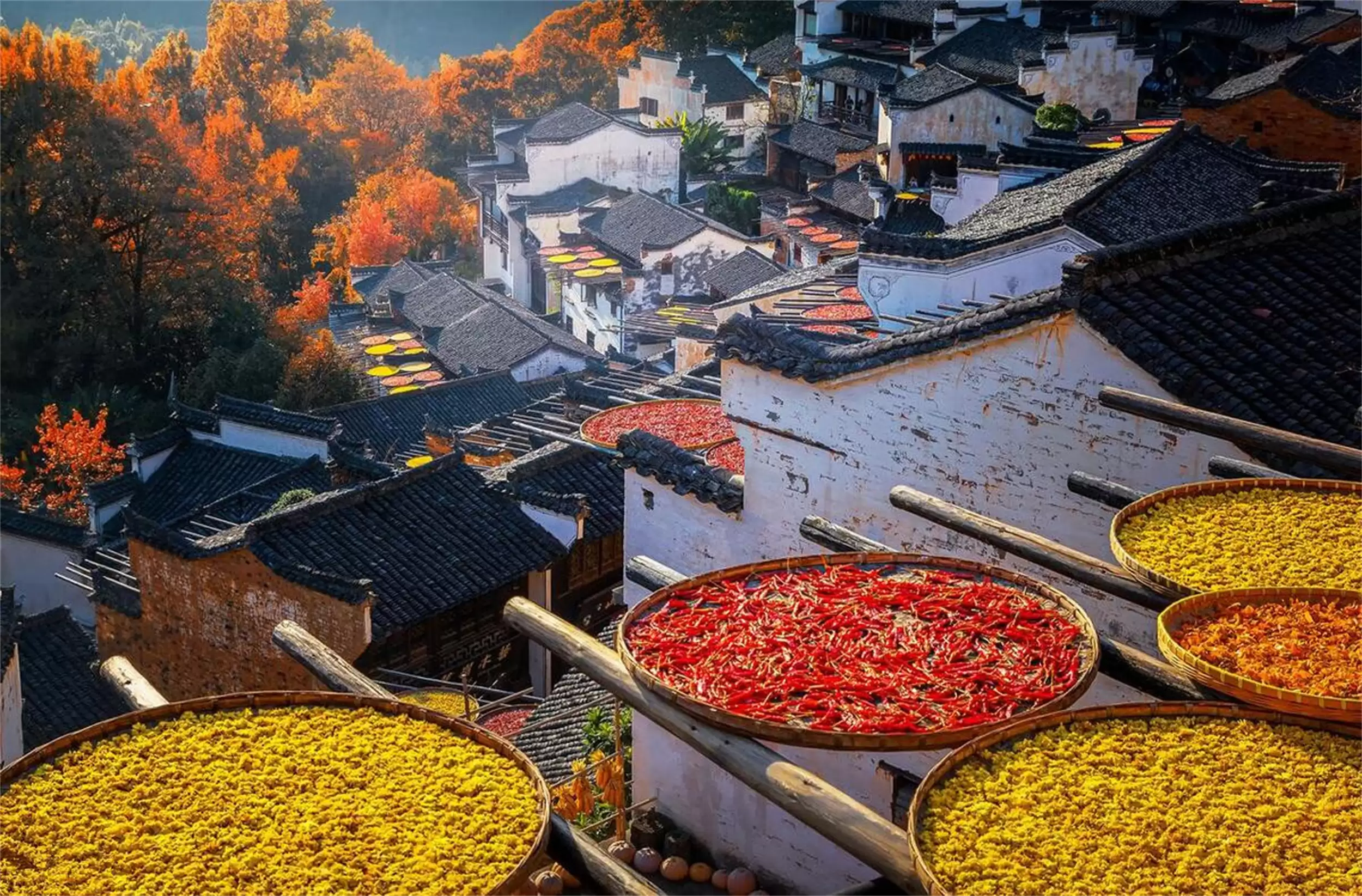 立秋属相“躲秋”及饮食忌宜须知插图1