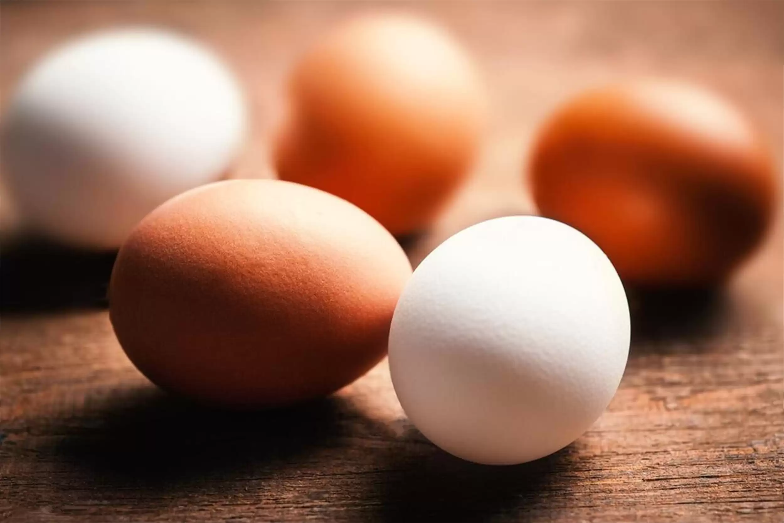 不生病的秘诀：五种食物提升免疫力插图7