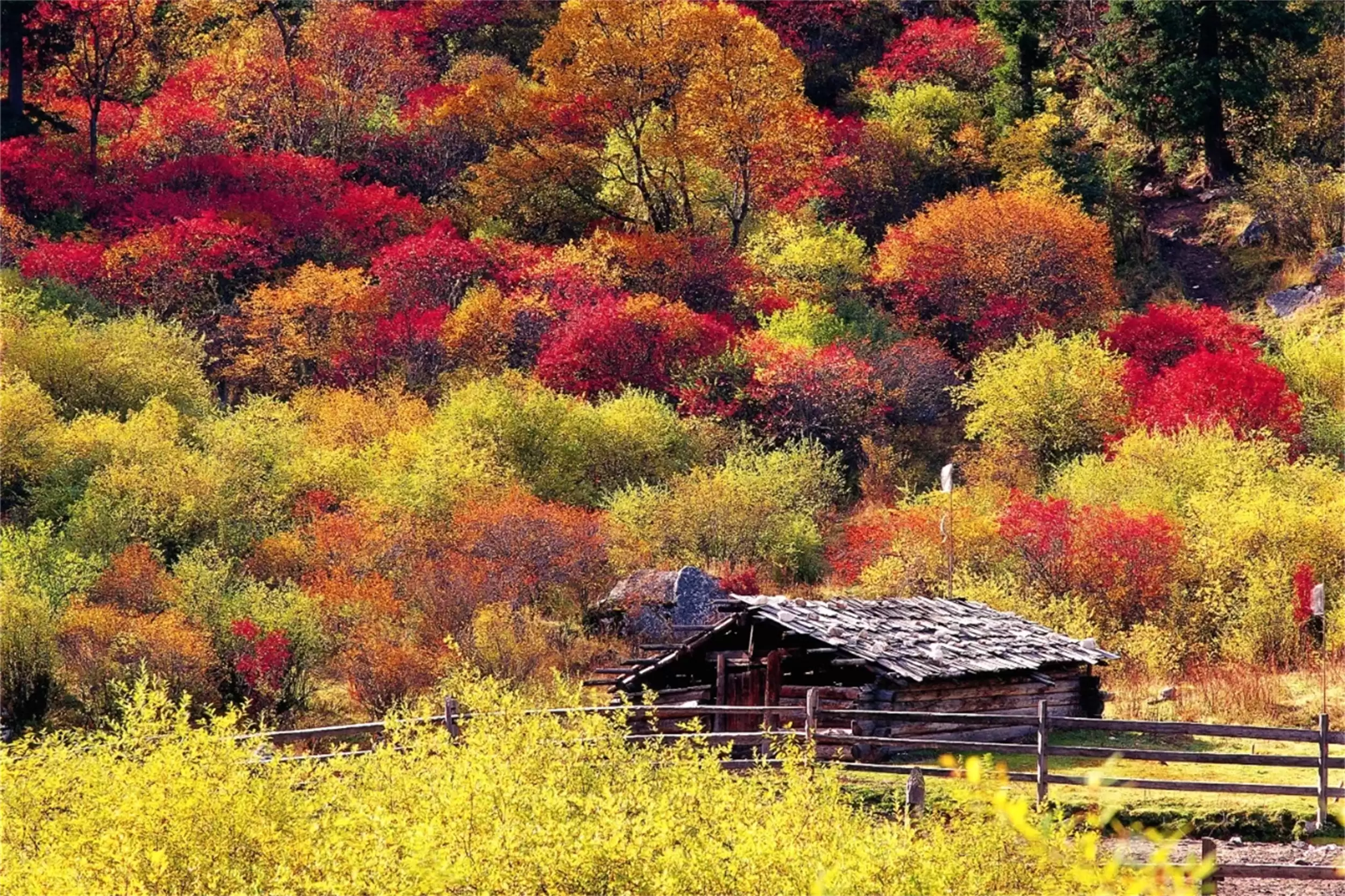 秋天最美城市：五地秋季盛景等你来插图15