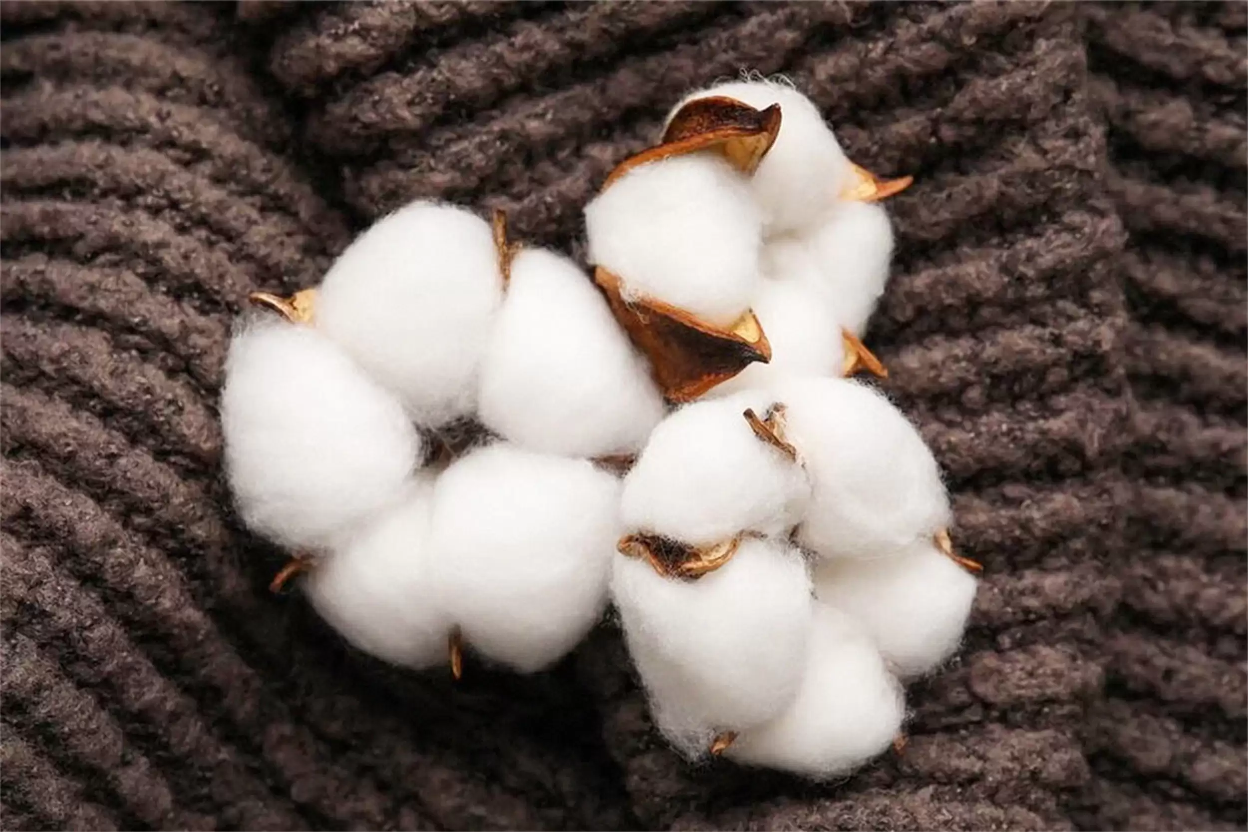 霜降饮食注意：“1避2忌3补”入冬插图2