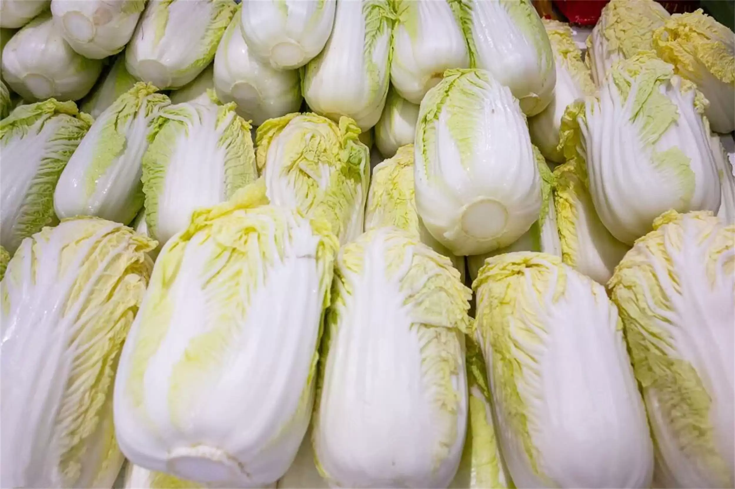 寒露养生食材：五种“黄金食材”插图1