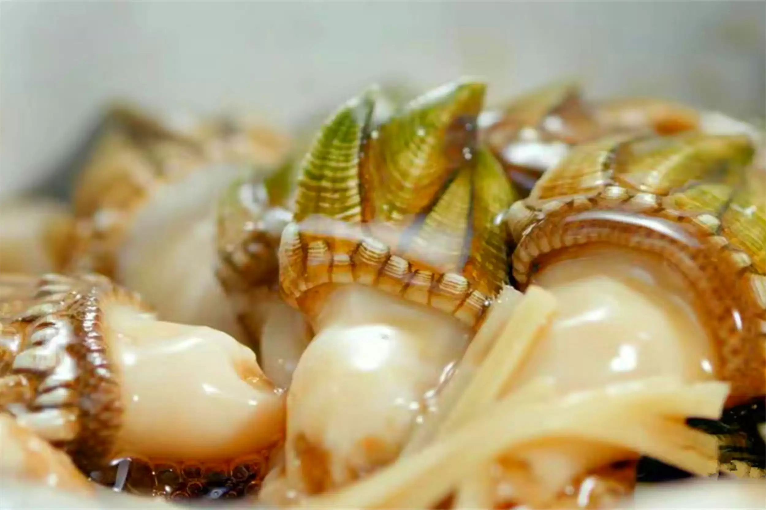 海边海鲜绝配：五种搭配尽显巧思插图26