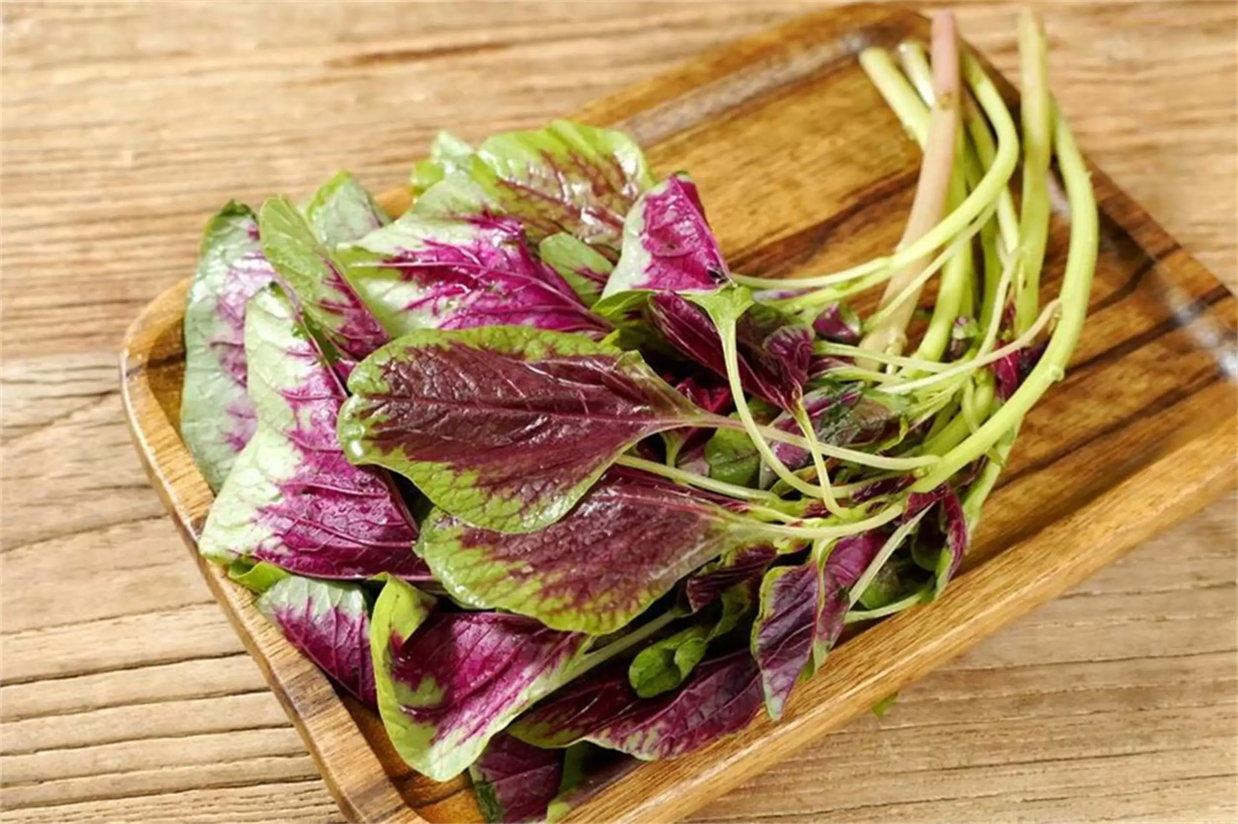 天凉饮食调整：5种夏季菜少吃，5种秋季菜多吃插图2