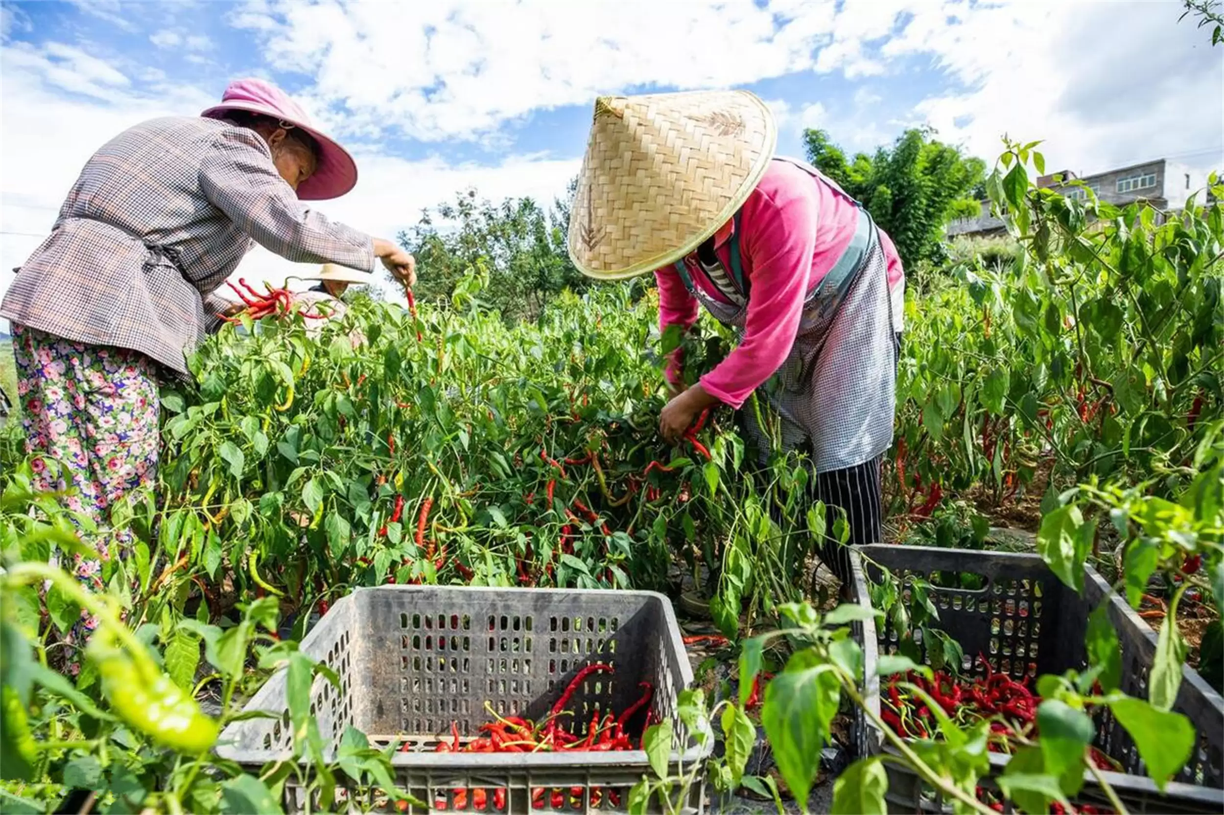 清华教授观点引议：“穷人辣富人鲜”插图12