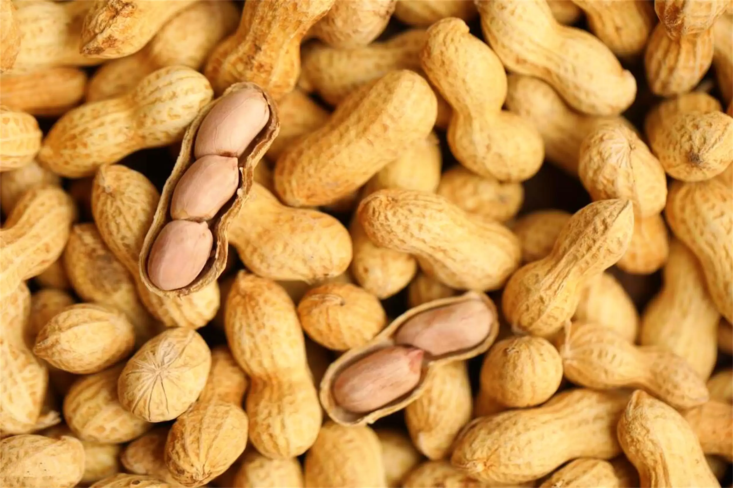 立秋养生：多吃5样“秋果”，平稳入秋插图11