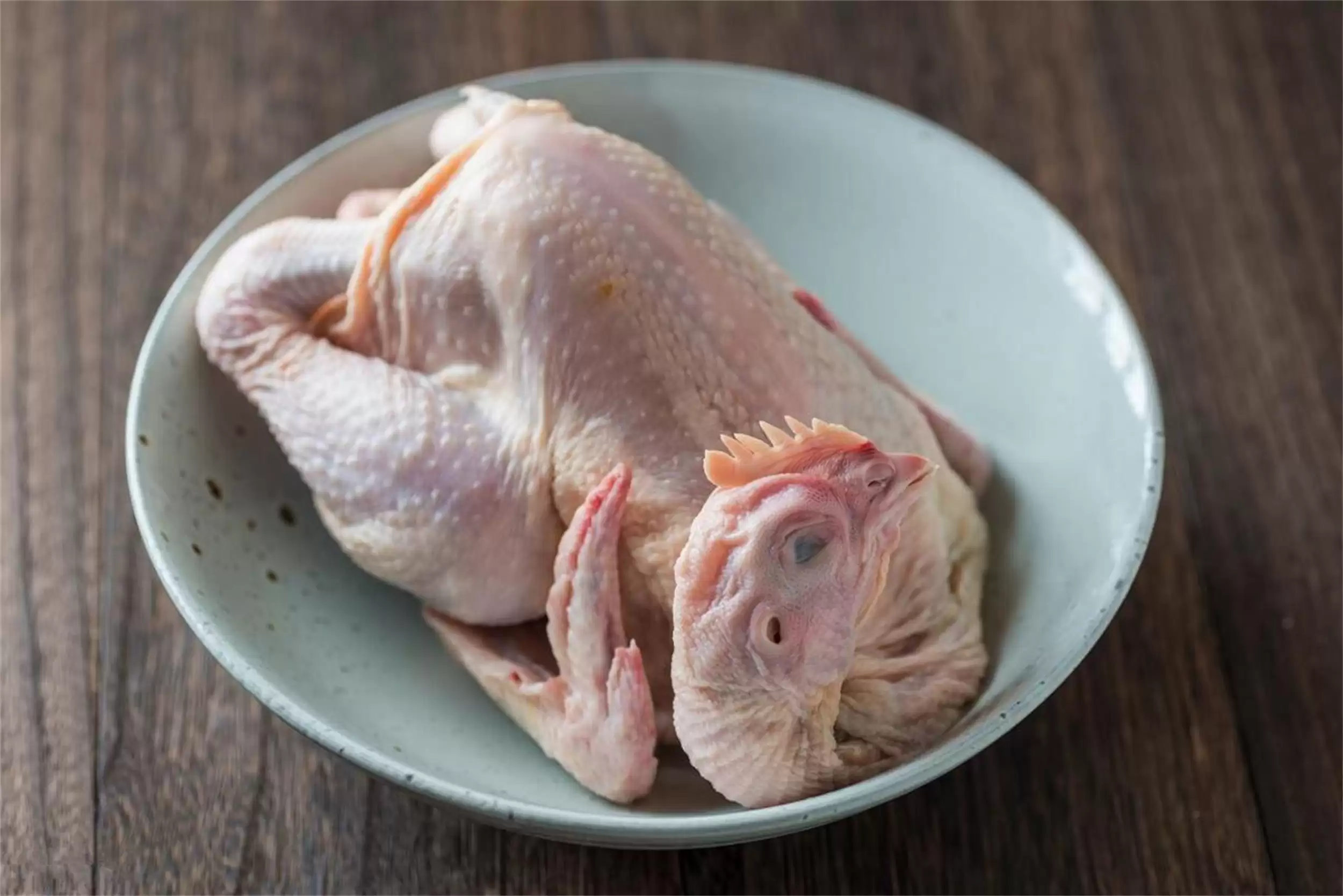 正宗土鸡百元一只贵否？养殖成本大揭秘插图9