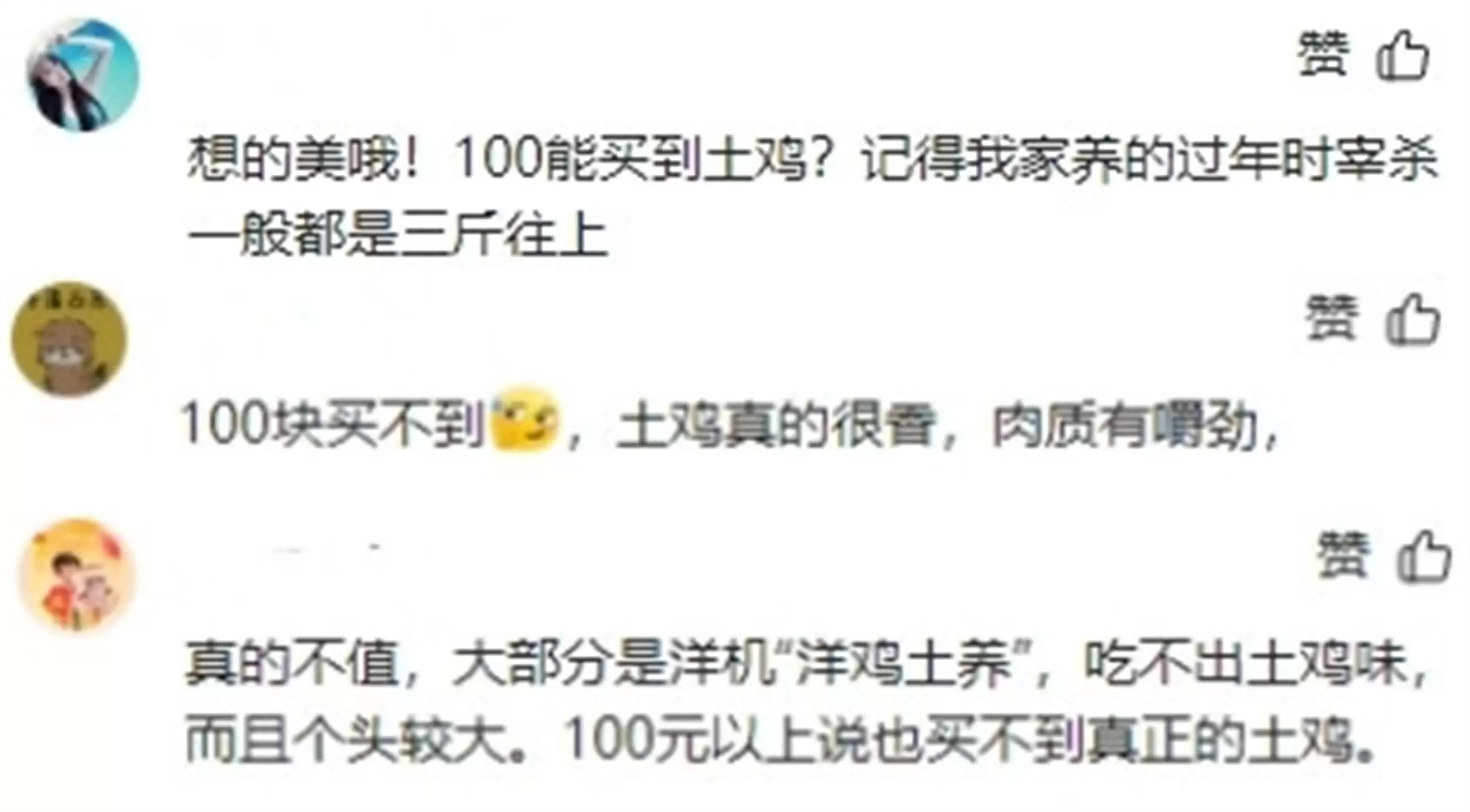 正宗土鸡百元一只贵否？养殖成本大揭秘插图2