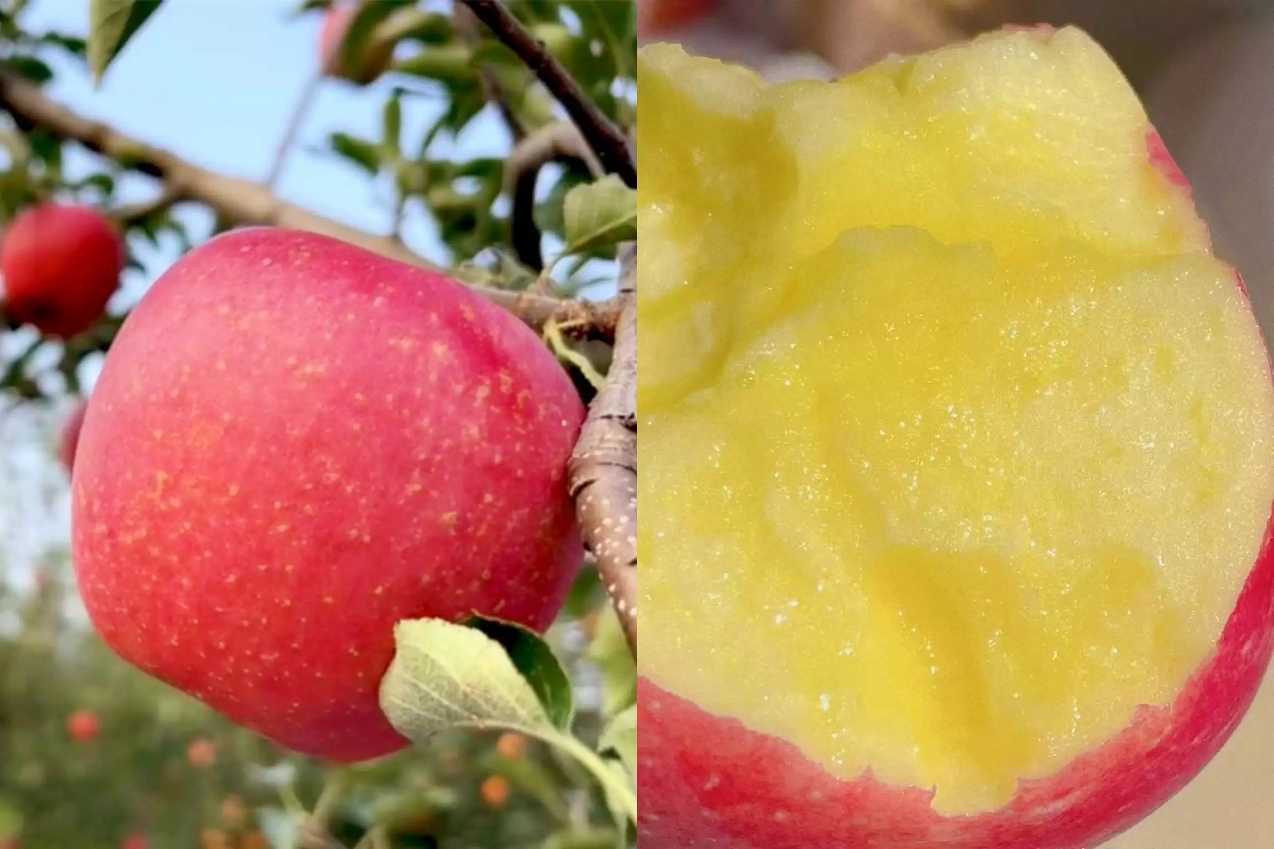 凤凰传奇歌中“乌蒙山”：旅游胜地探秘插图14