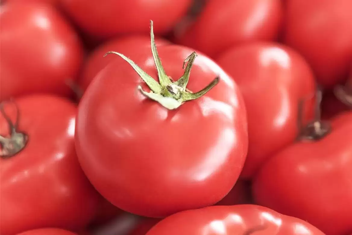 中伏养生：“4素”助力，强过保健品插图7