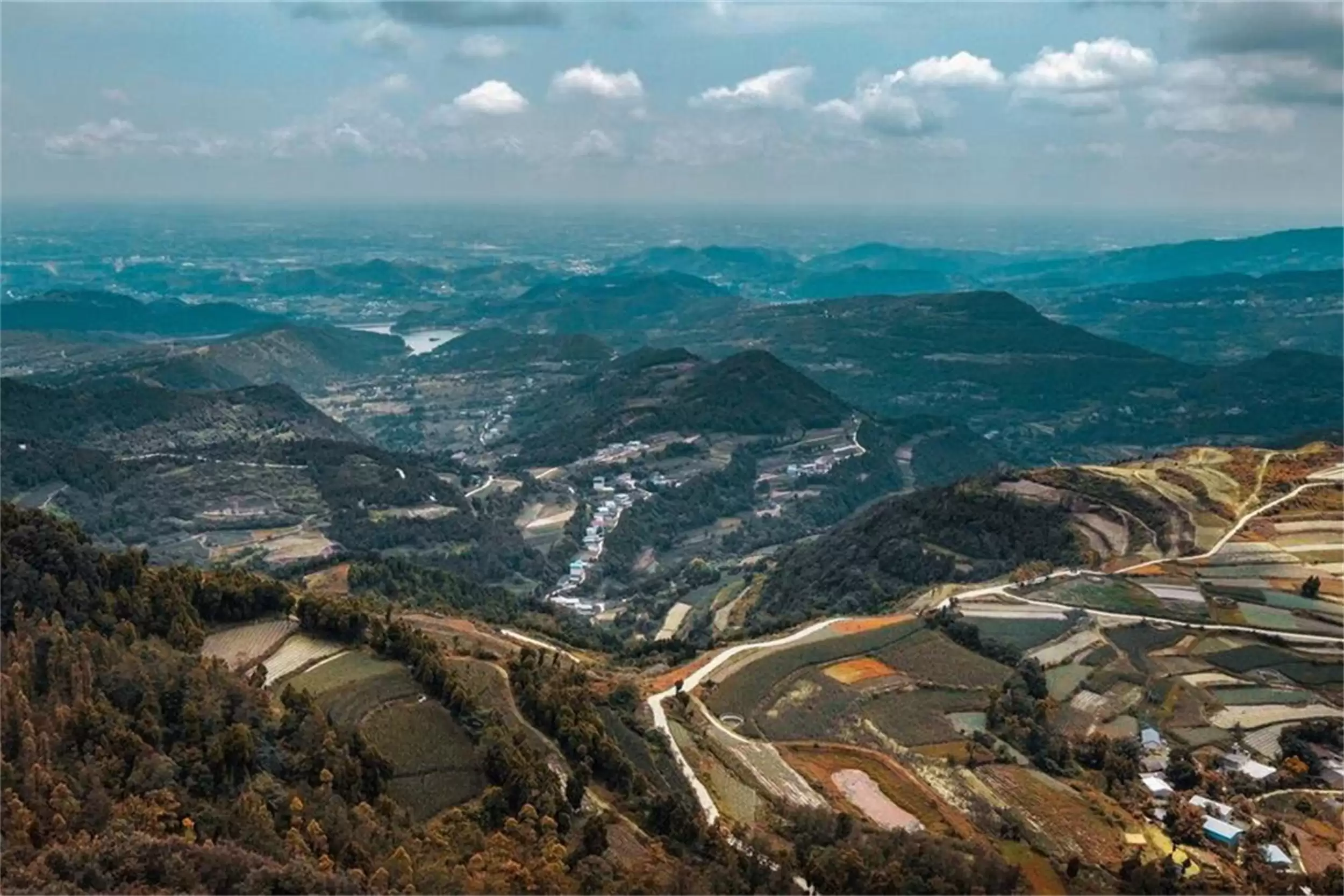 清华教授观点引议：“穷人辣富人鲜”插图9