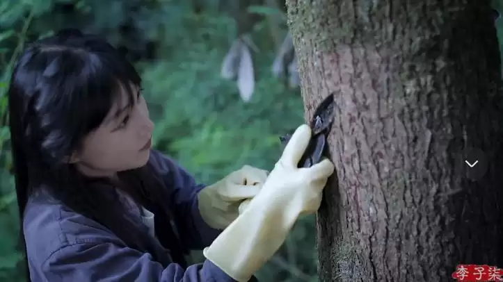 李子柒回归，全手工打造田园生活新篇插图4