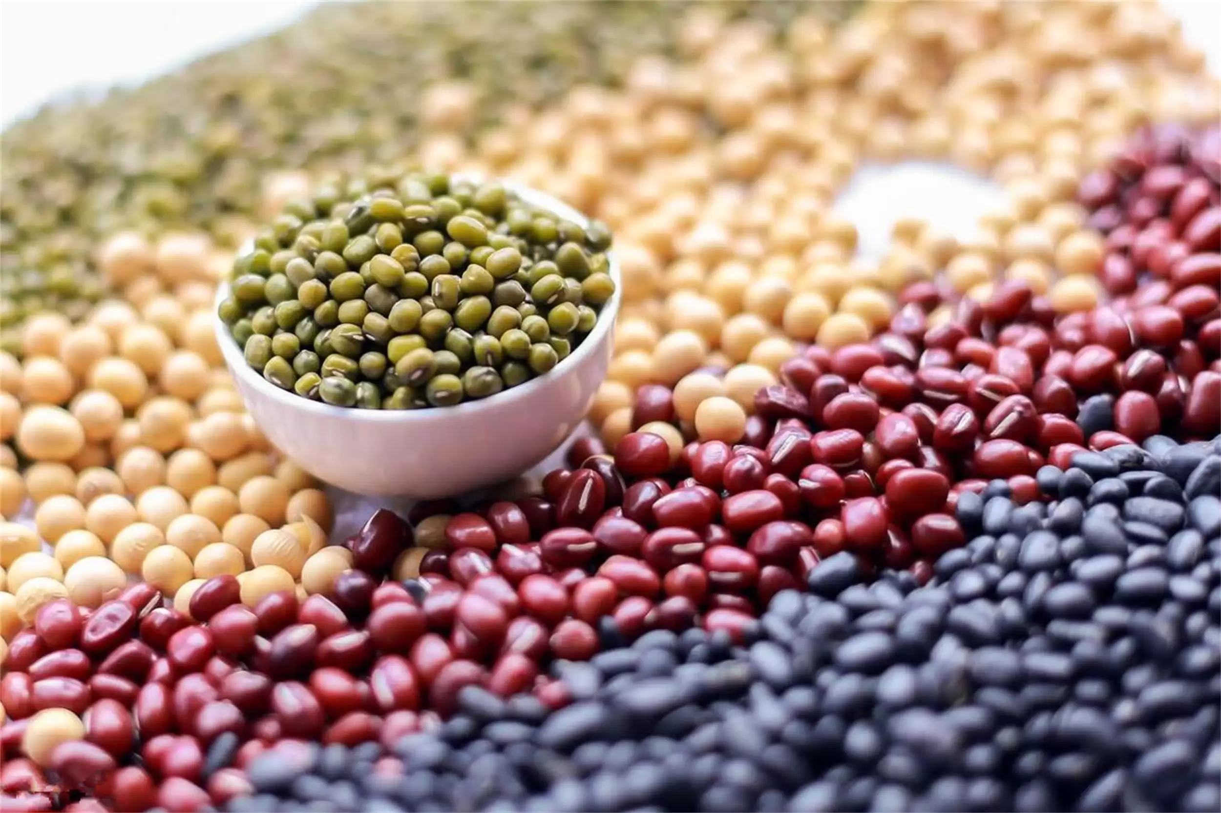 寒露饮食指南：知晓吃何种“豆”为宜插图1