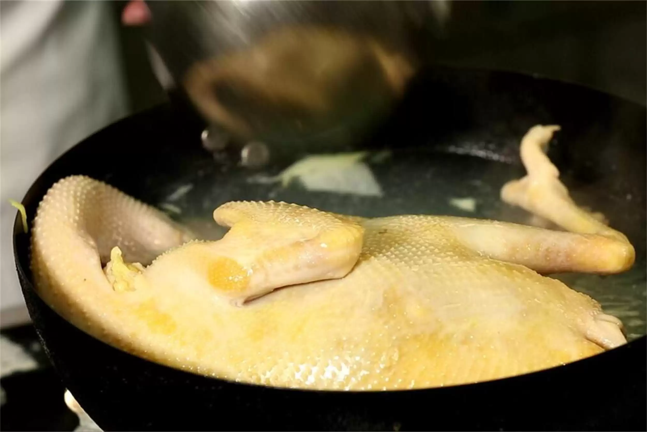 正宗土鸡百元一只贵否？养殖成本大揭秘插图10