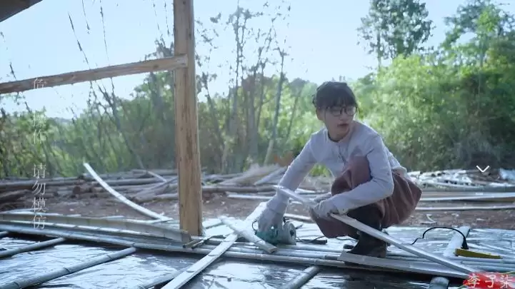 李子柒回归，全手工打造田园生活新篇插图37