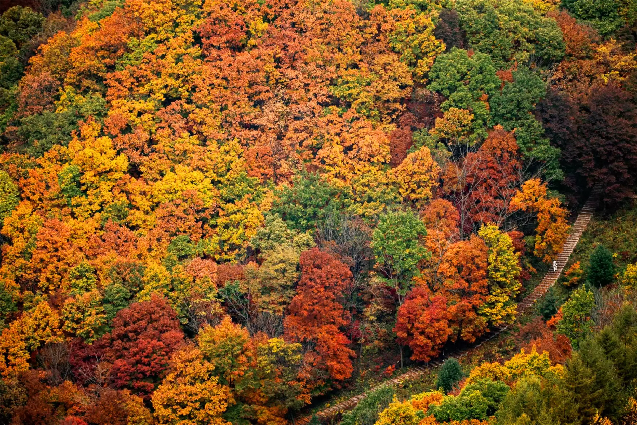 秋天最美城市：五地秋季盛景等你来插图4