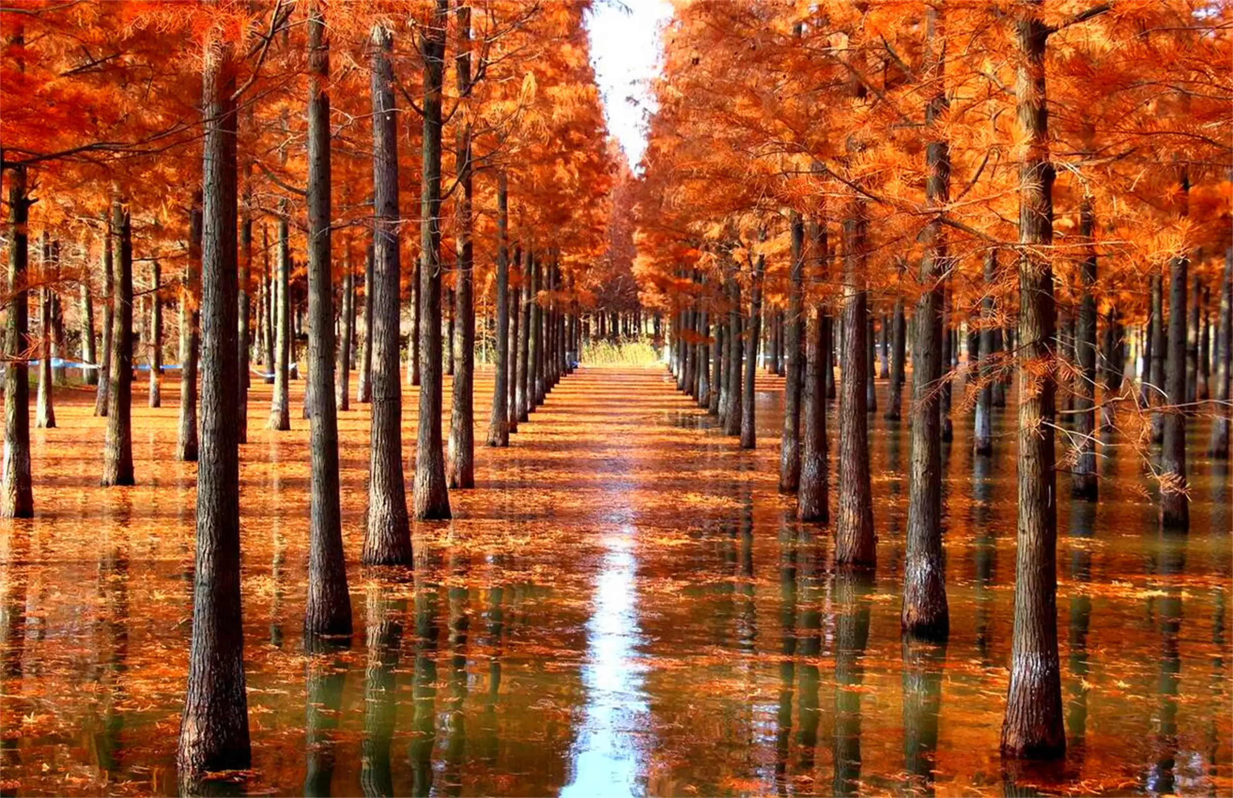 国庆小众省钱旅游地，反向旅游新体验插图5