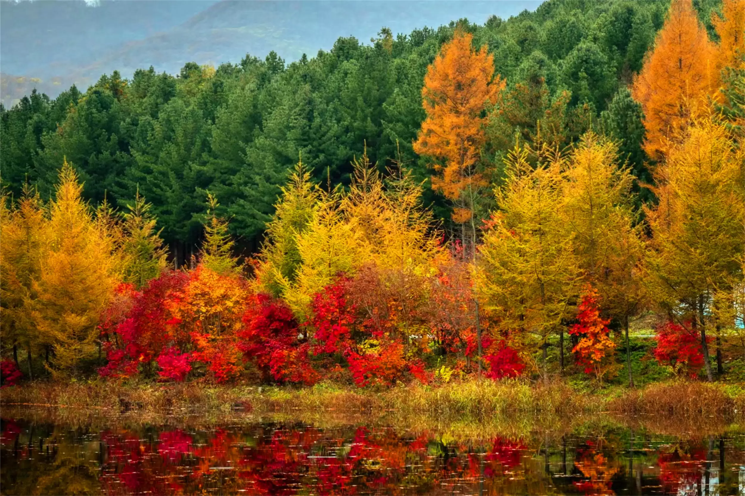 秋天最美城市：五地秋季盛景等你来插图3
